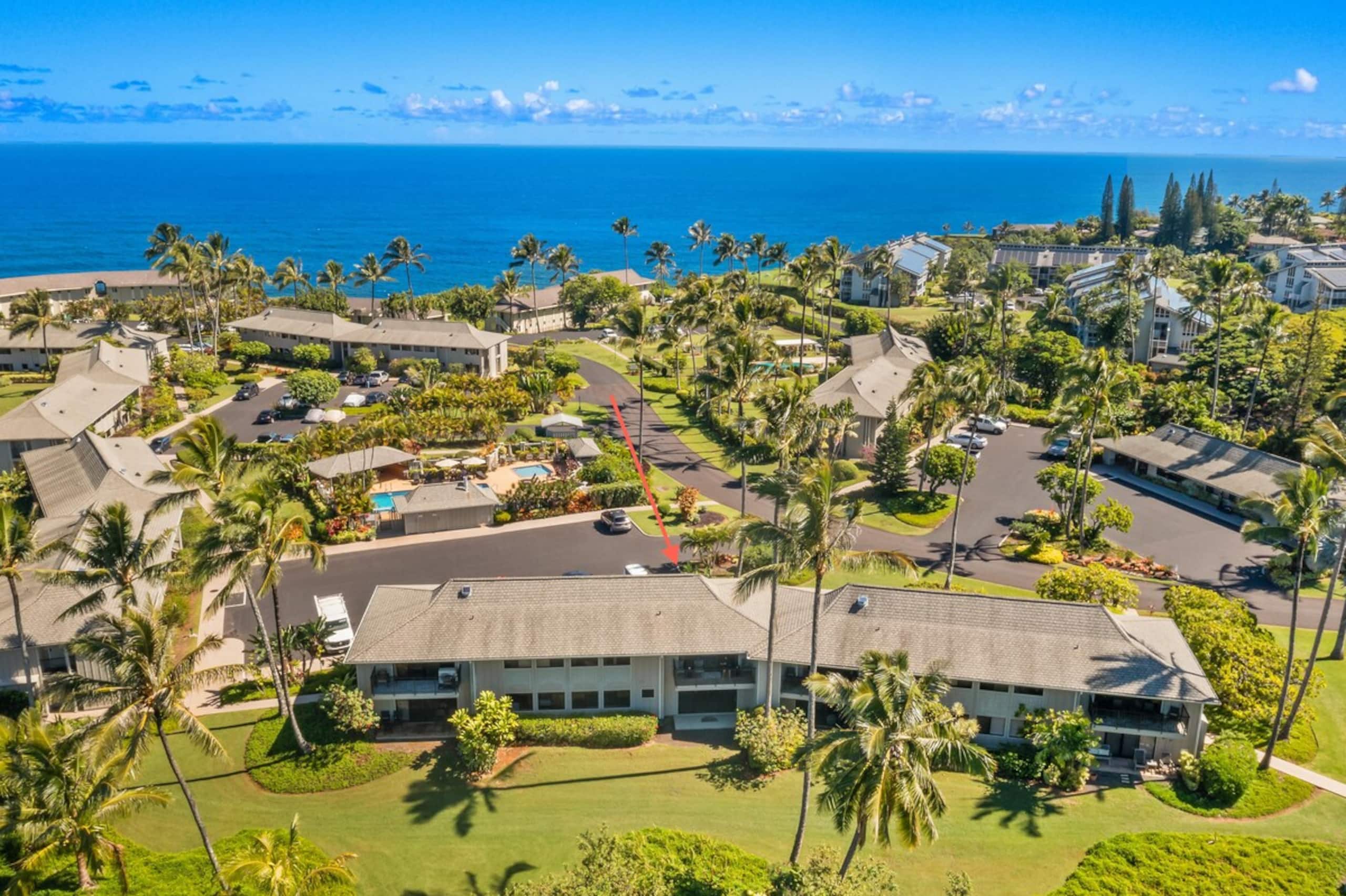 Tropical Oasis - Stunning Views In Private Setting - Photo 7