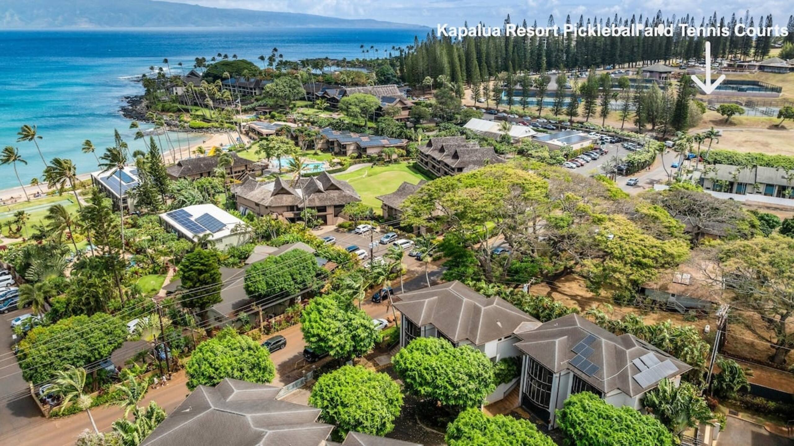 Summer Sale 1BR Unit near Beaches-Napili Ridge A2 - Photo 48