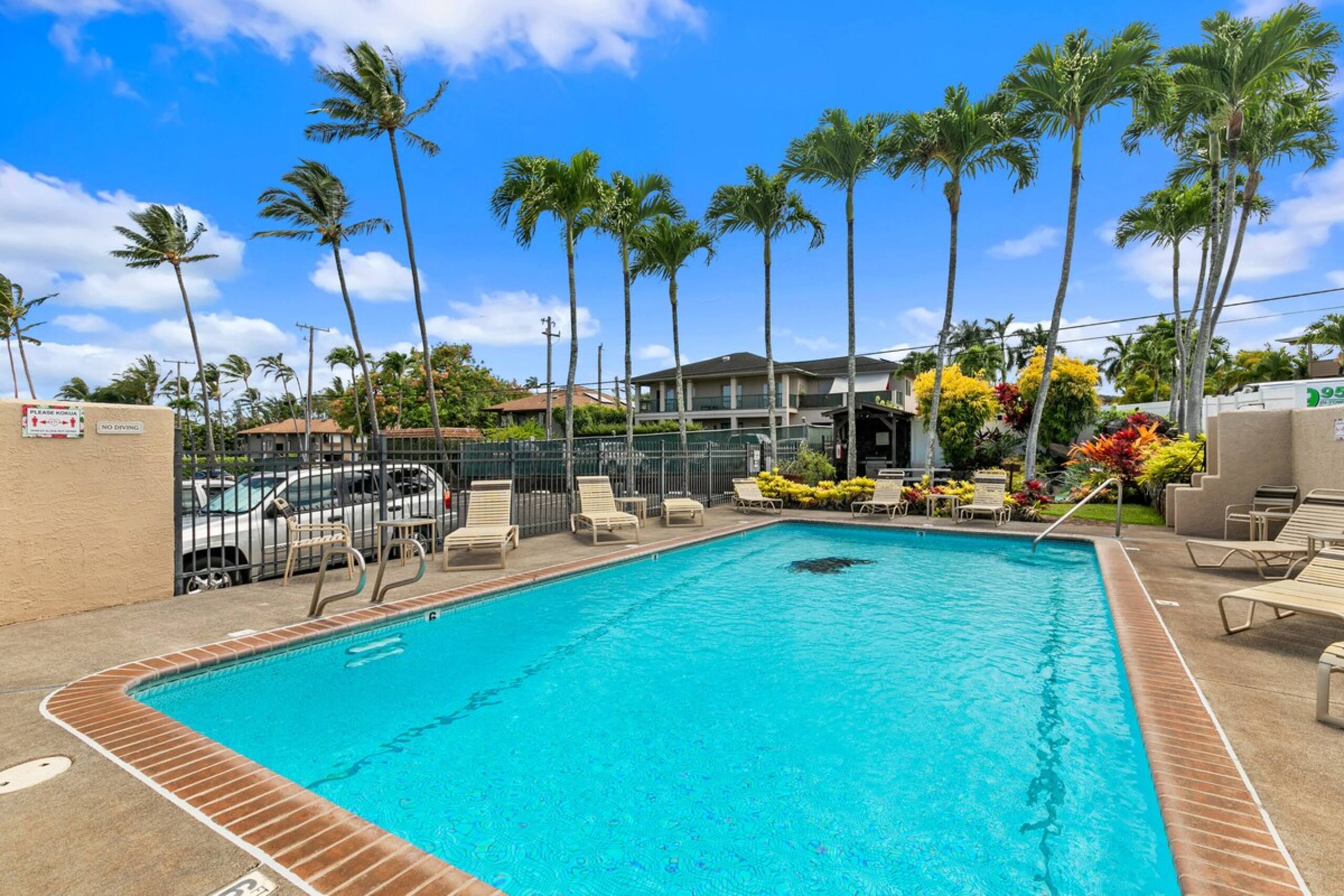 Summer Sale 1BR Unit near Beaches-Napili Ridge A2 - Photo 22