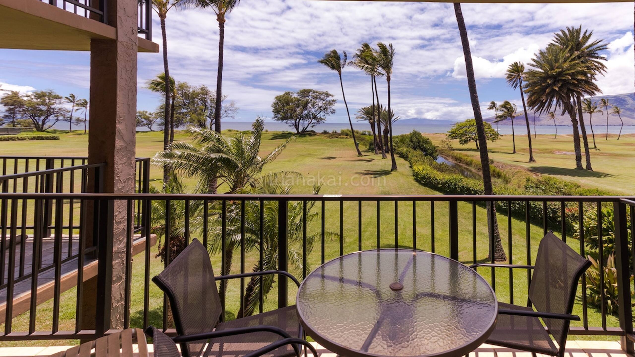 One Bd ocean view, Budget price, wifi, pool, A206 - Photo 13