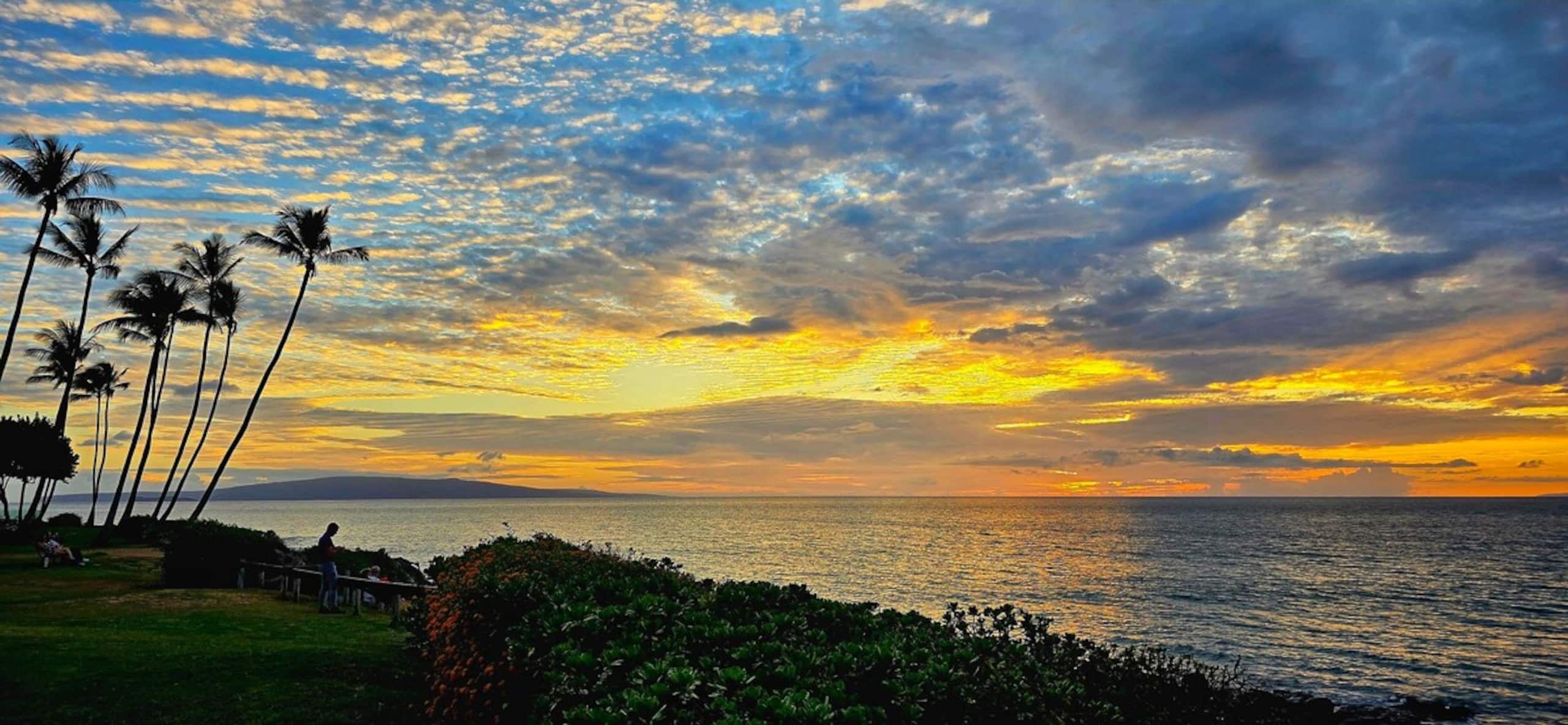Elegant retreat w/ private lanai & hot tub - Photo 48
