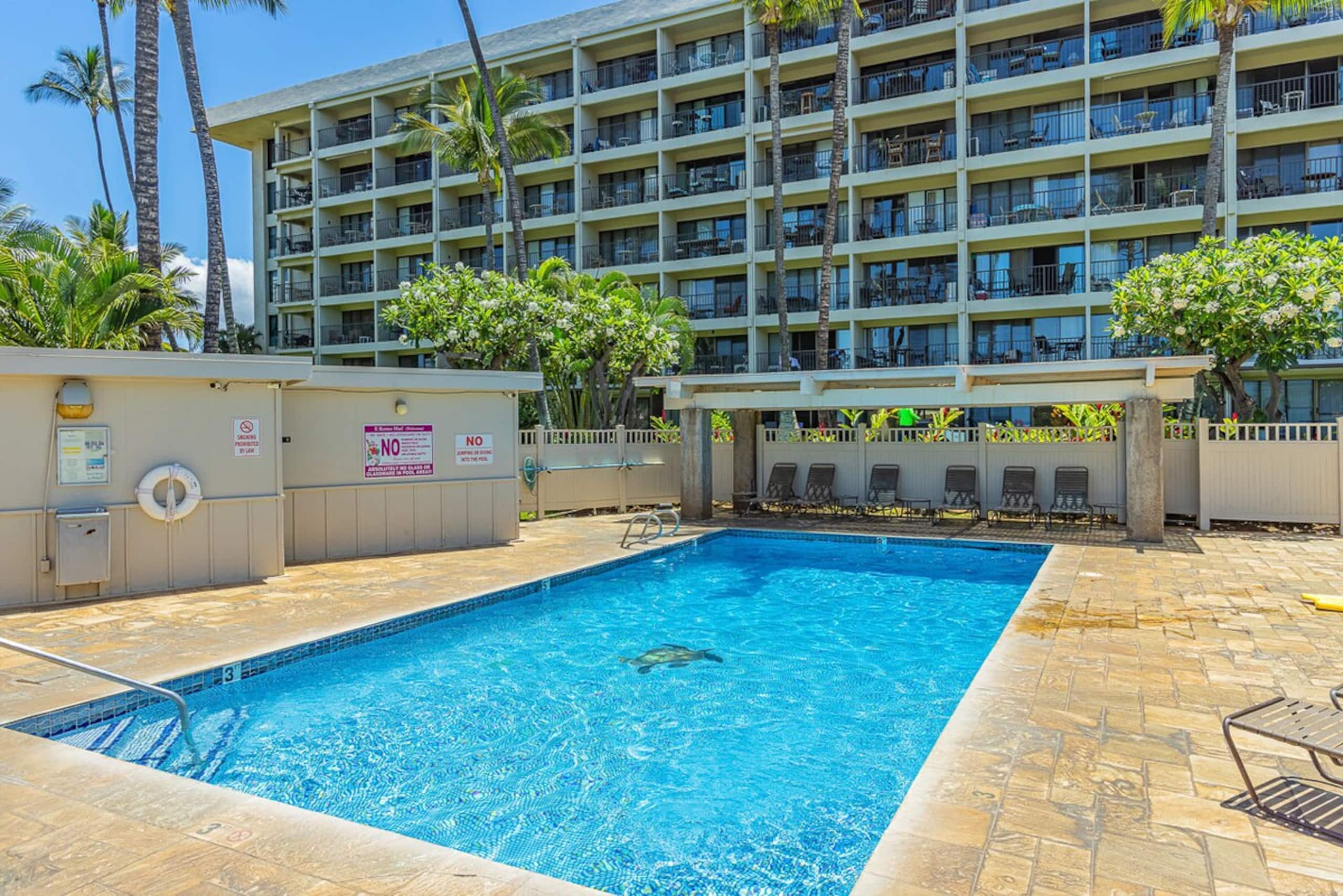 Ocean view condo across Kamaole Beach - Photo 29