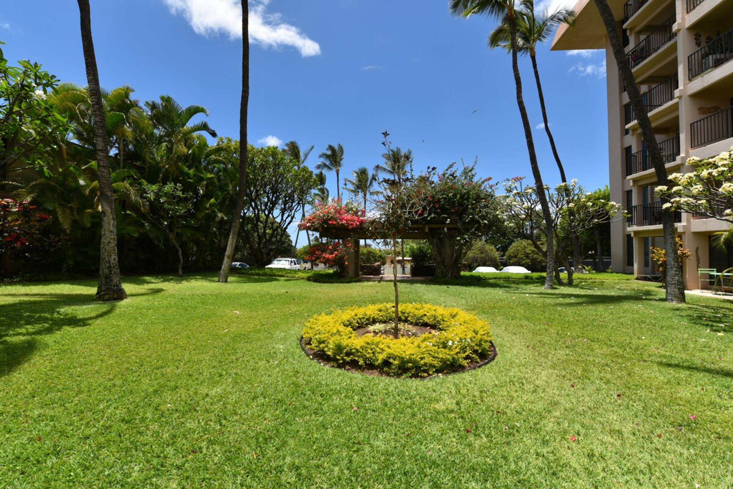 Summer Sale 2BR Near Beach Ocean View - AKH D402 - Photo 26