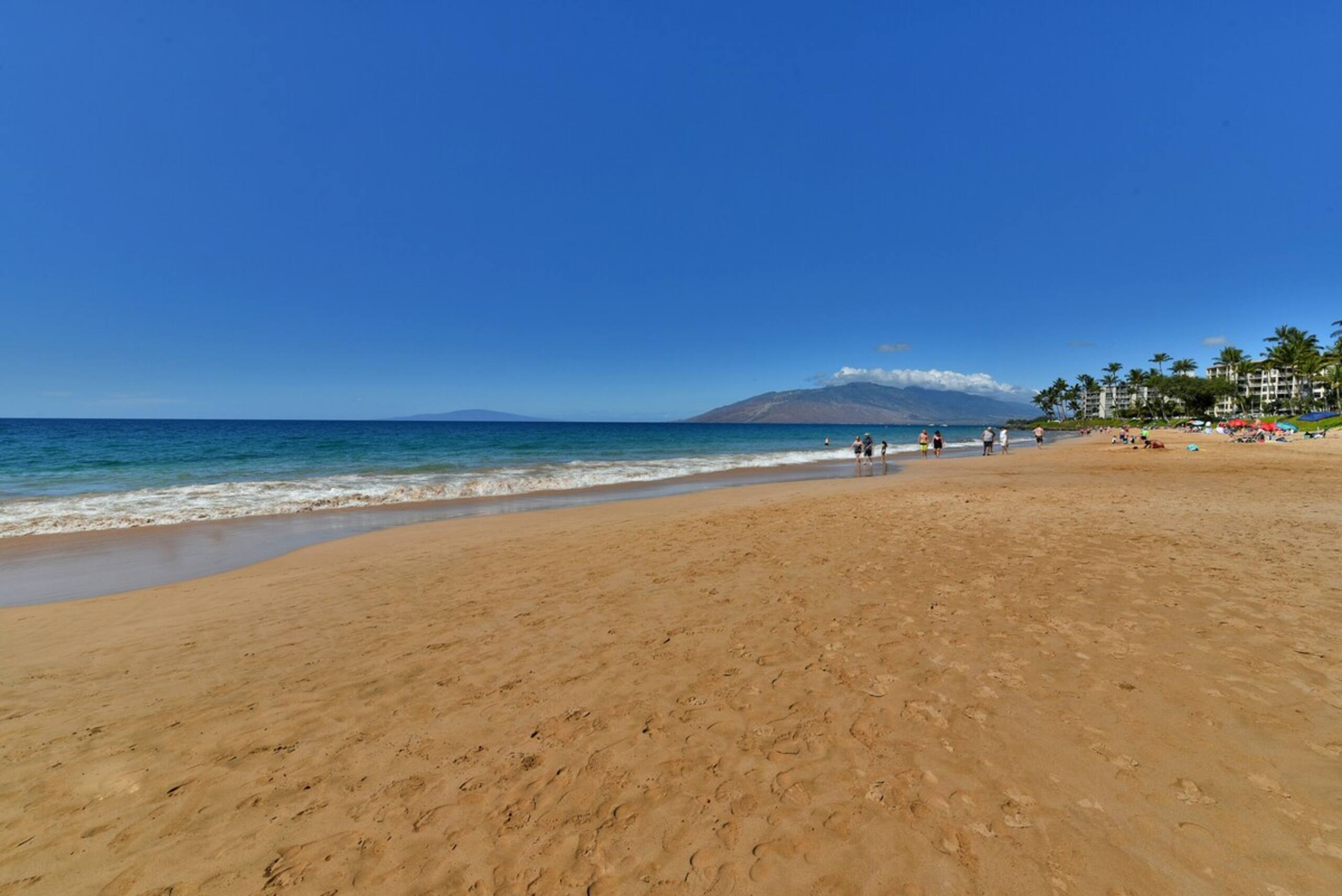 Summer Sale 2BR Near Beach Ocean View - AKH D402 - Photo 33