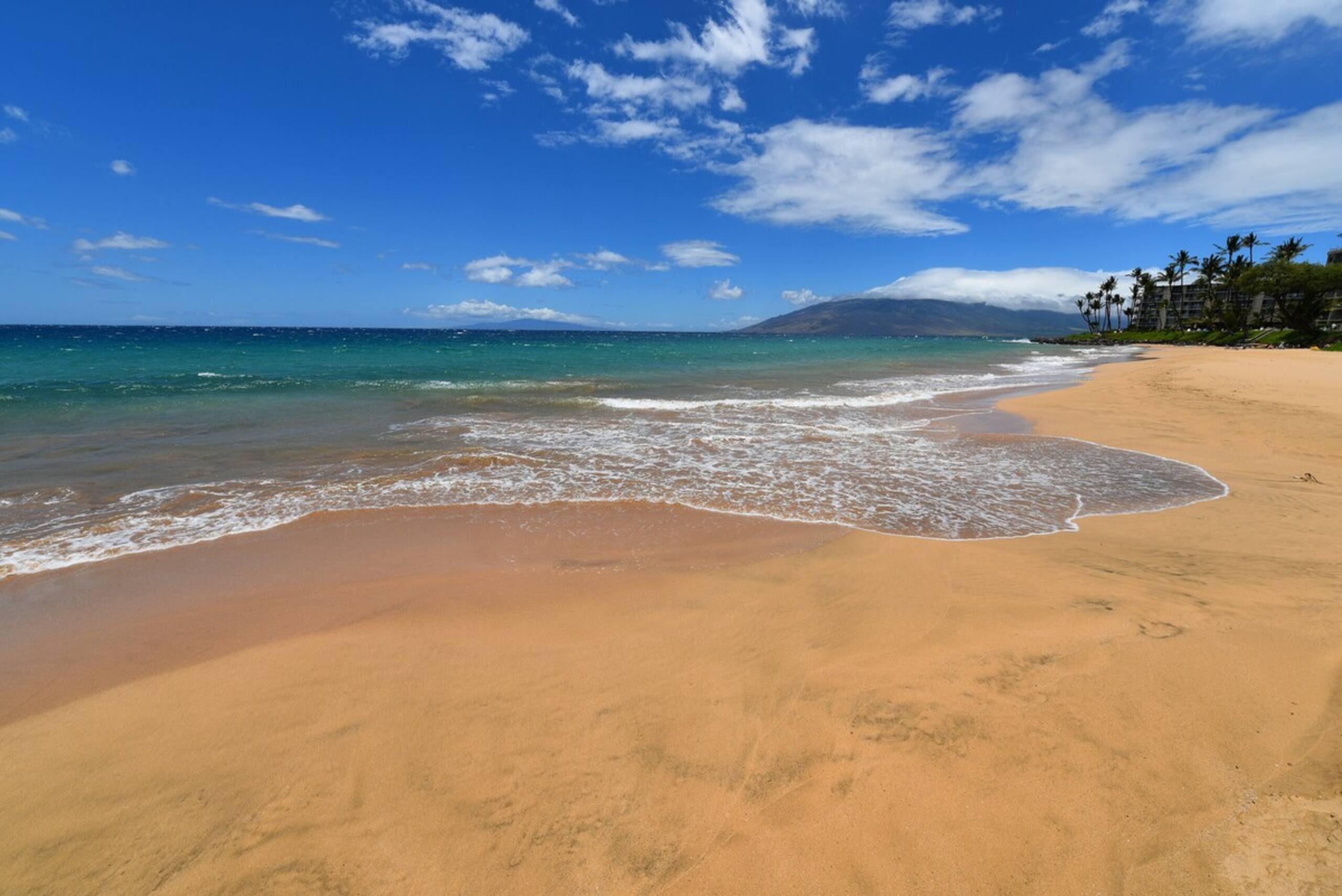 Summer Sale 2BR Near Beach Ocean View - AKH D402 - Photo 31