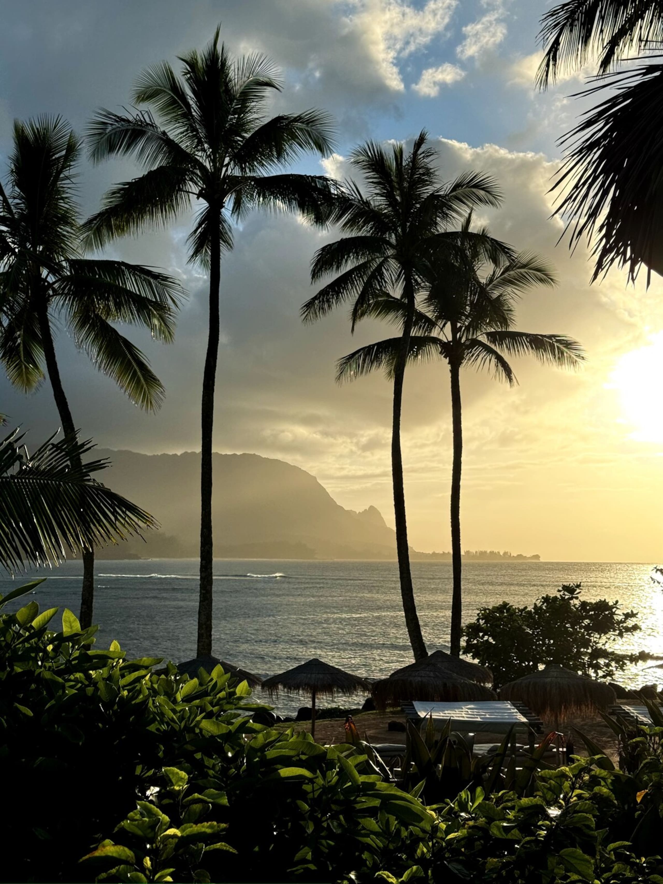 Tropical Studio Retreat w/AC 9min to Hanalei Bay - Photo 16