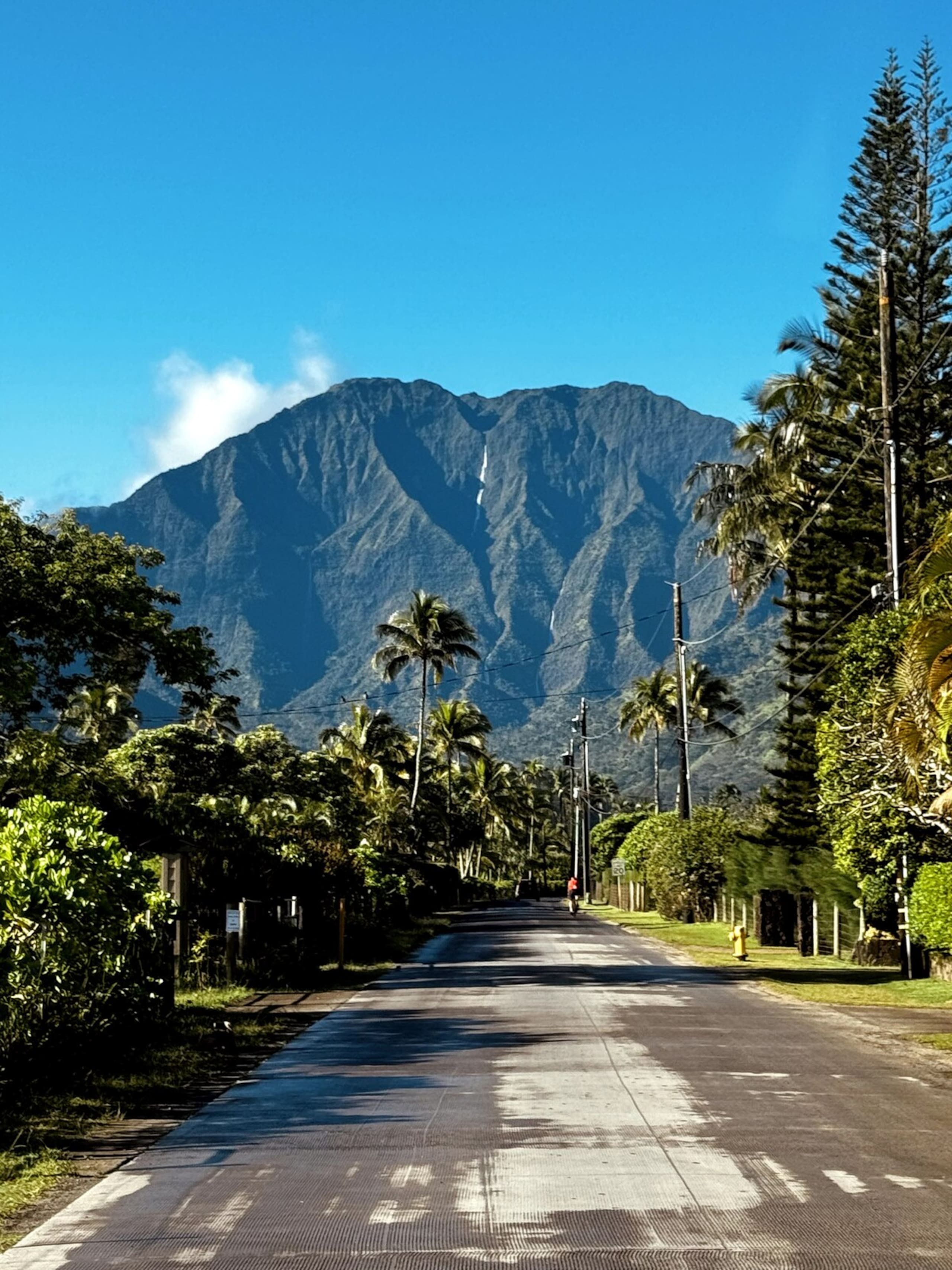 Tropical Studio Retreat w/AC 9min to Hanalei Bay - Photo 21
