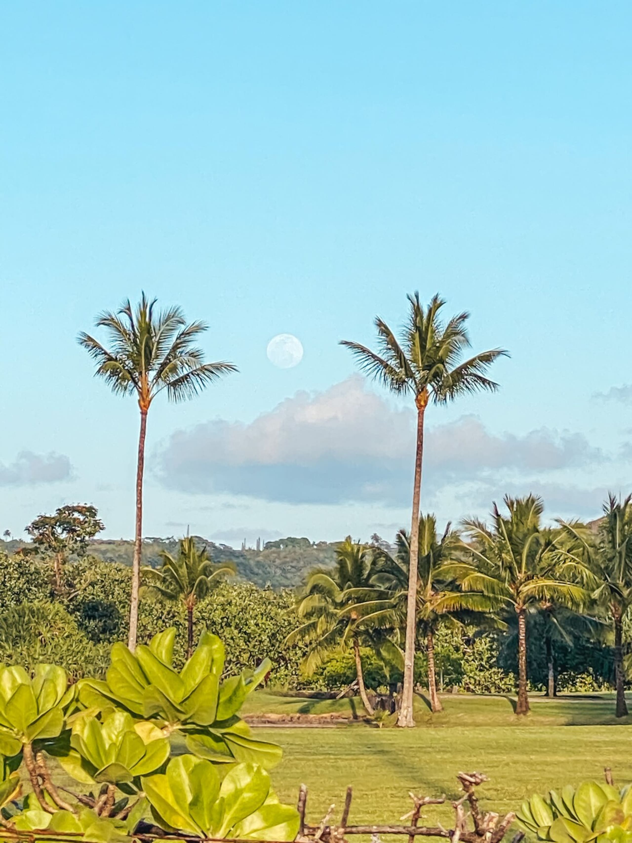 Tropical Studio Retreat w/AC 9min to Hanalei Bay - Photo 24
