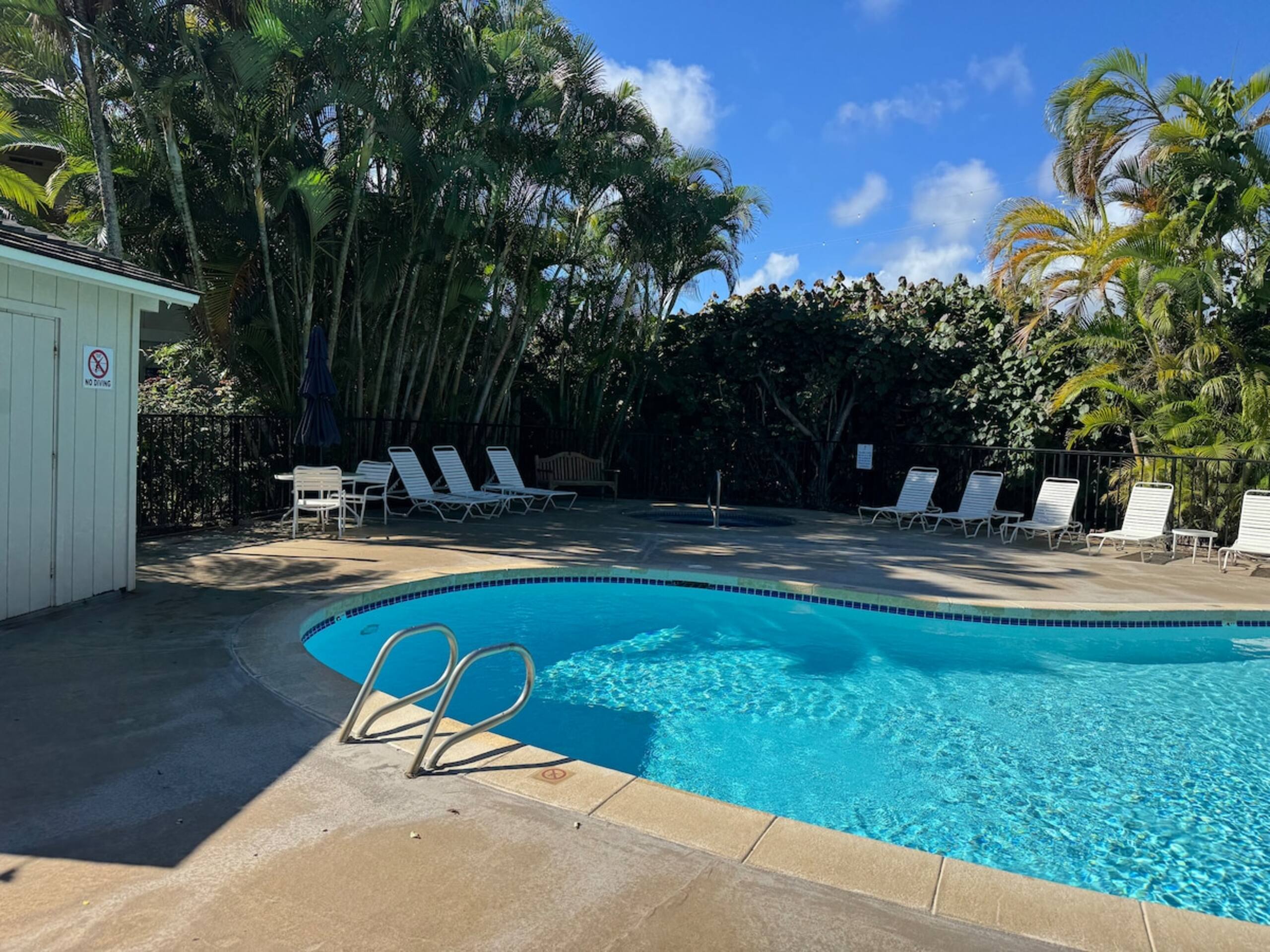 Oceanview on Coconut Coast - Photo 3