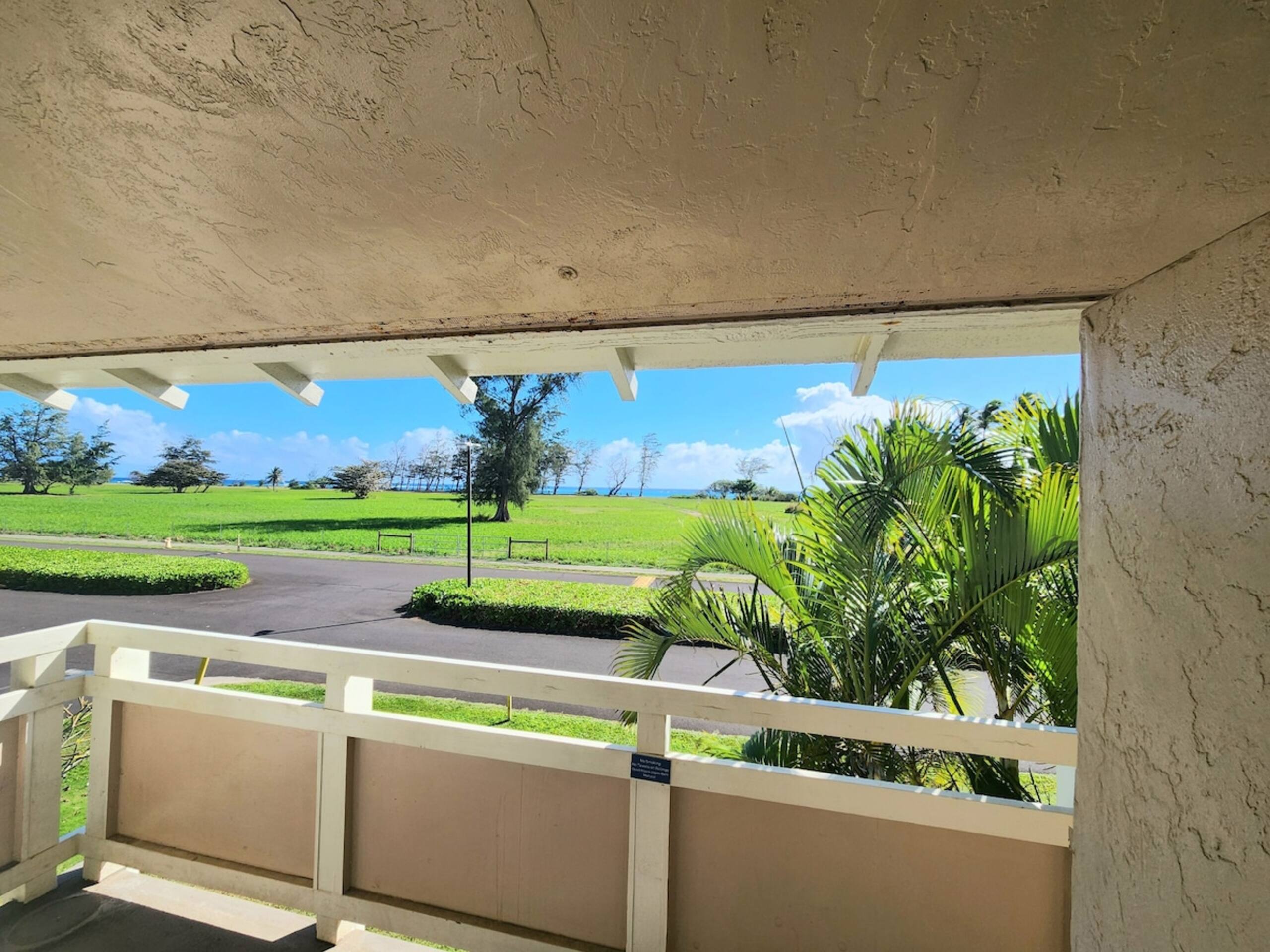 Oceanview on Coconut Coast - Photo 33
