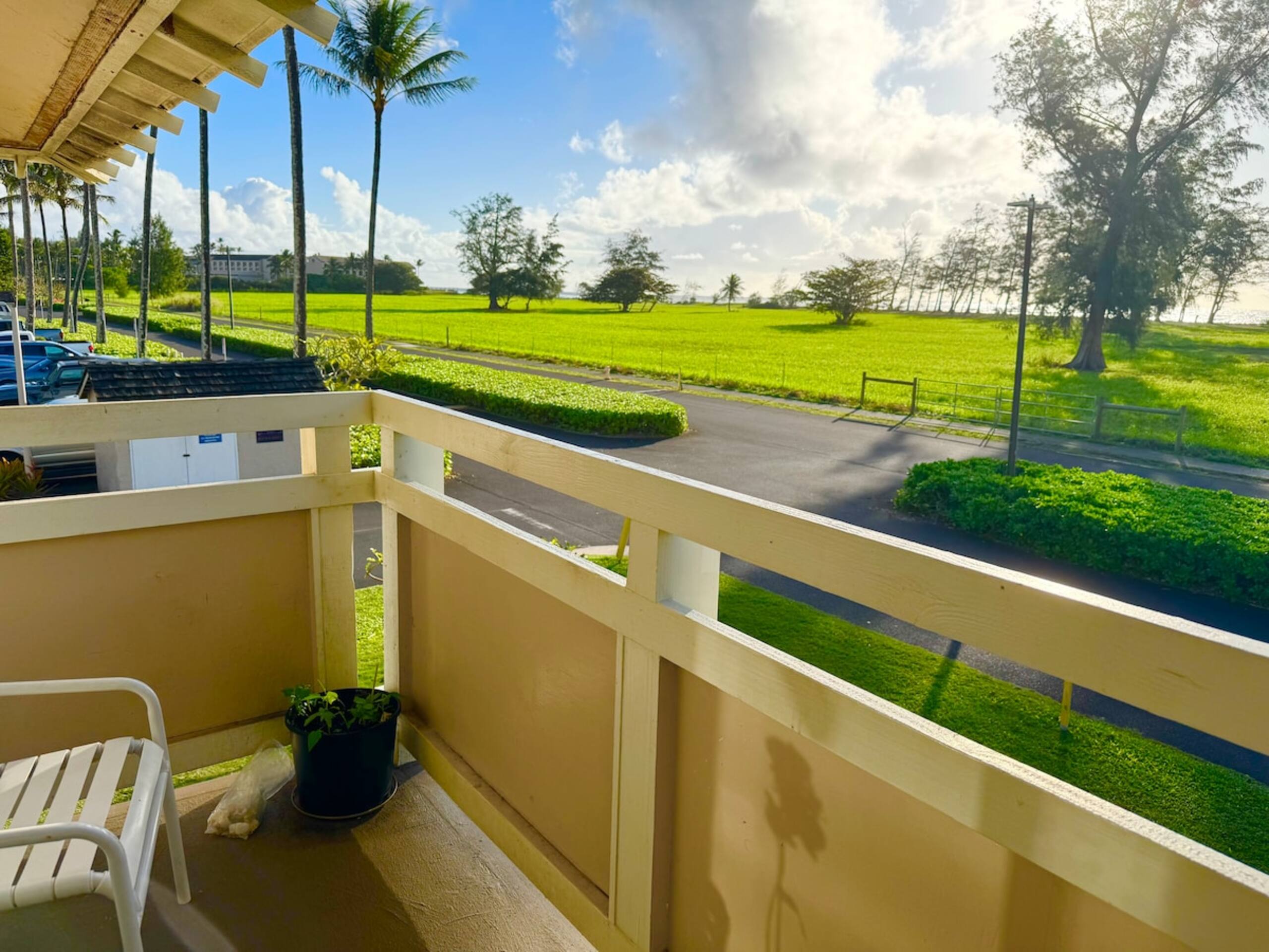 Oceanview on Coconut Coast - Photo 2