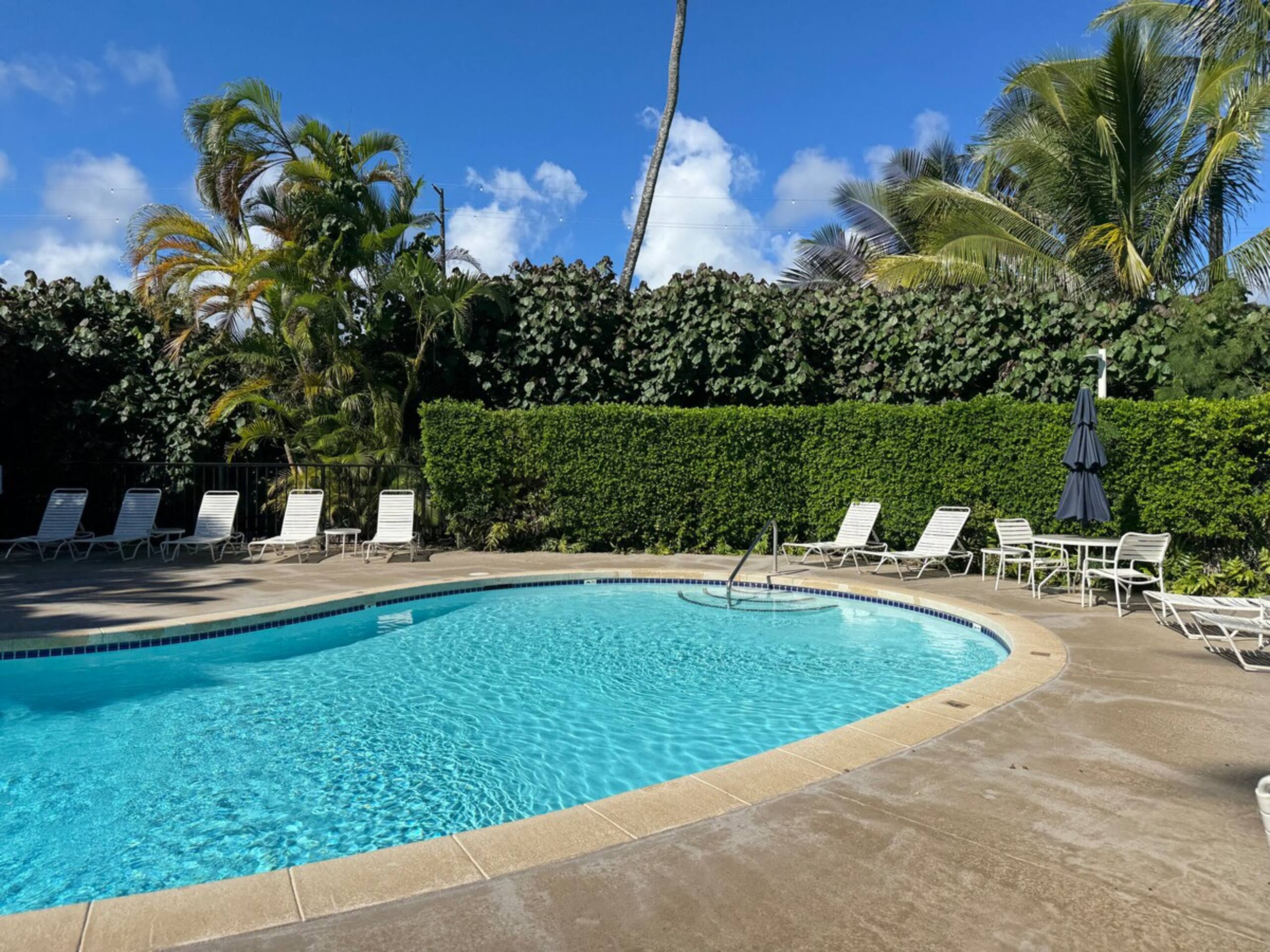 Oceanview on Coconut Coast - Photo 14