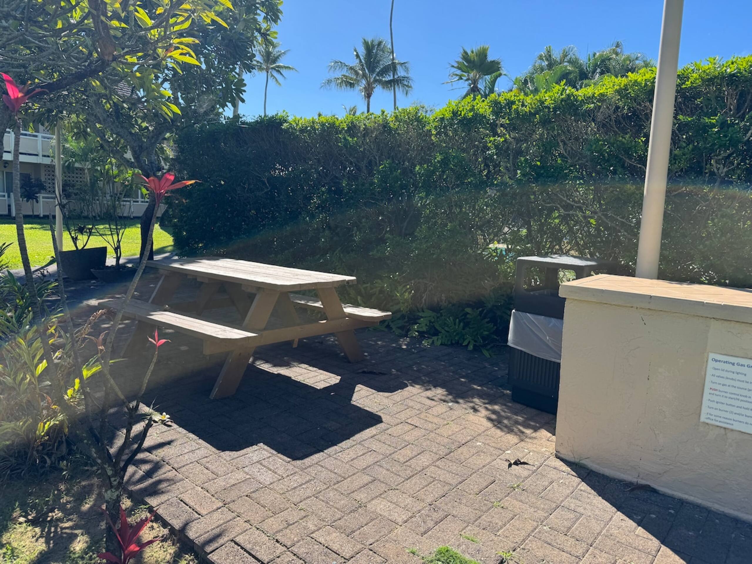 Oceanview on Coconut Coast - Photo 19