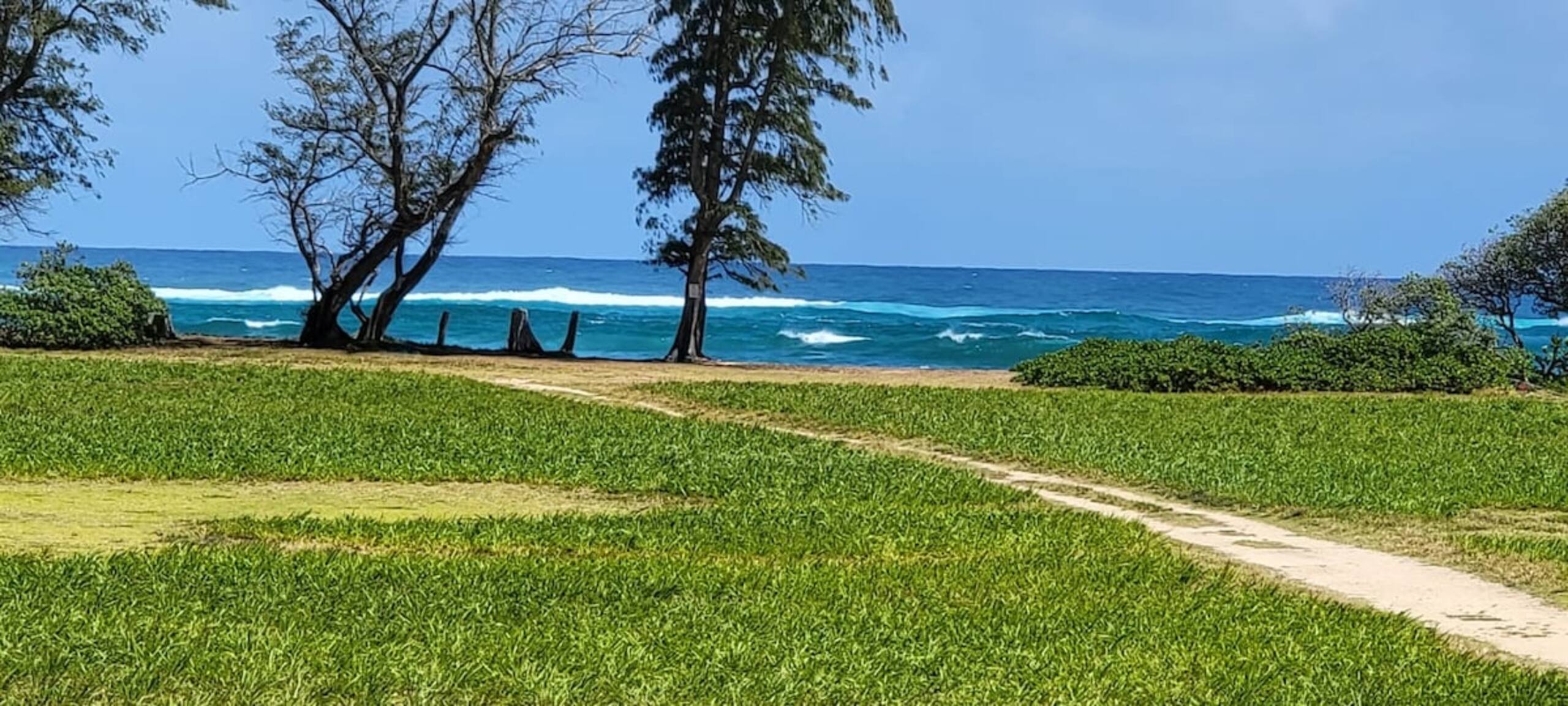Oceanview on Coconut Coast - Photo 7