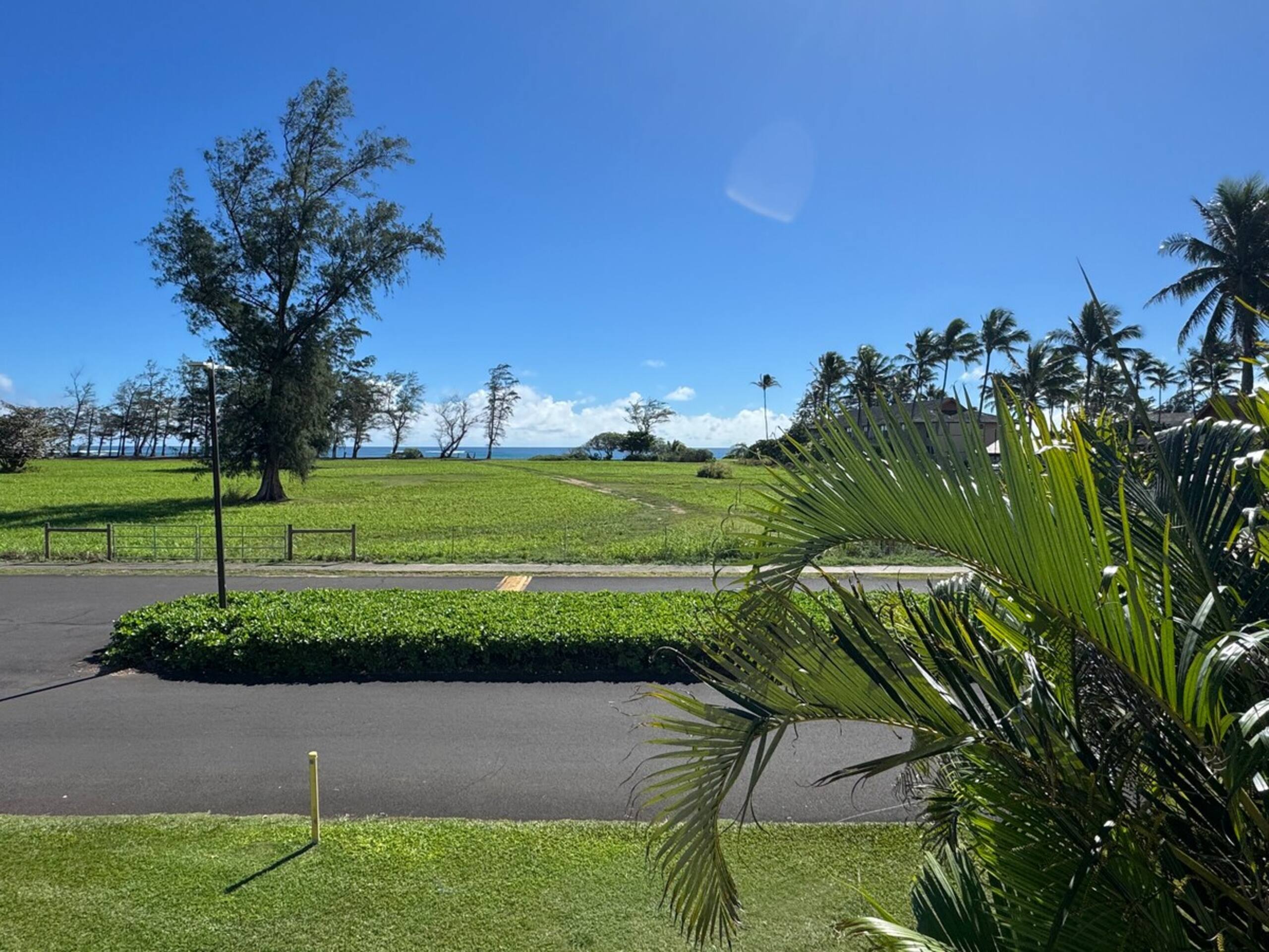 Oceanview on Coconut Coast - Photo 18