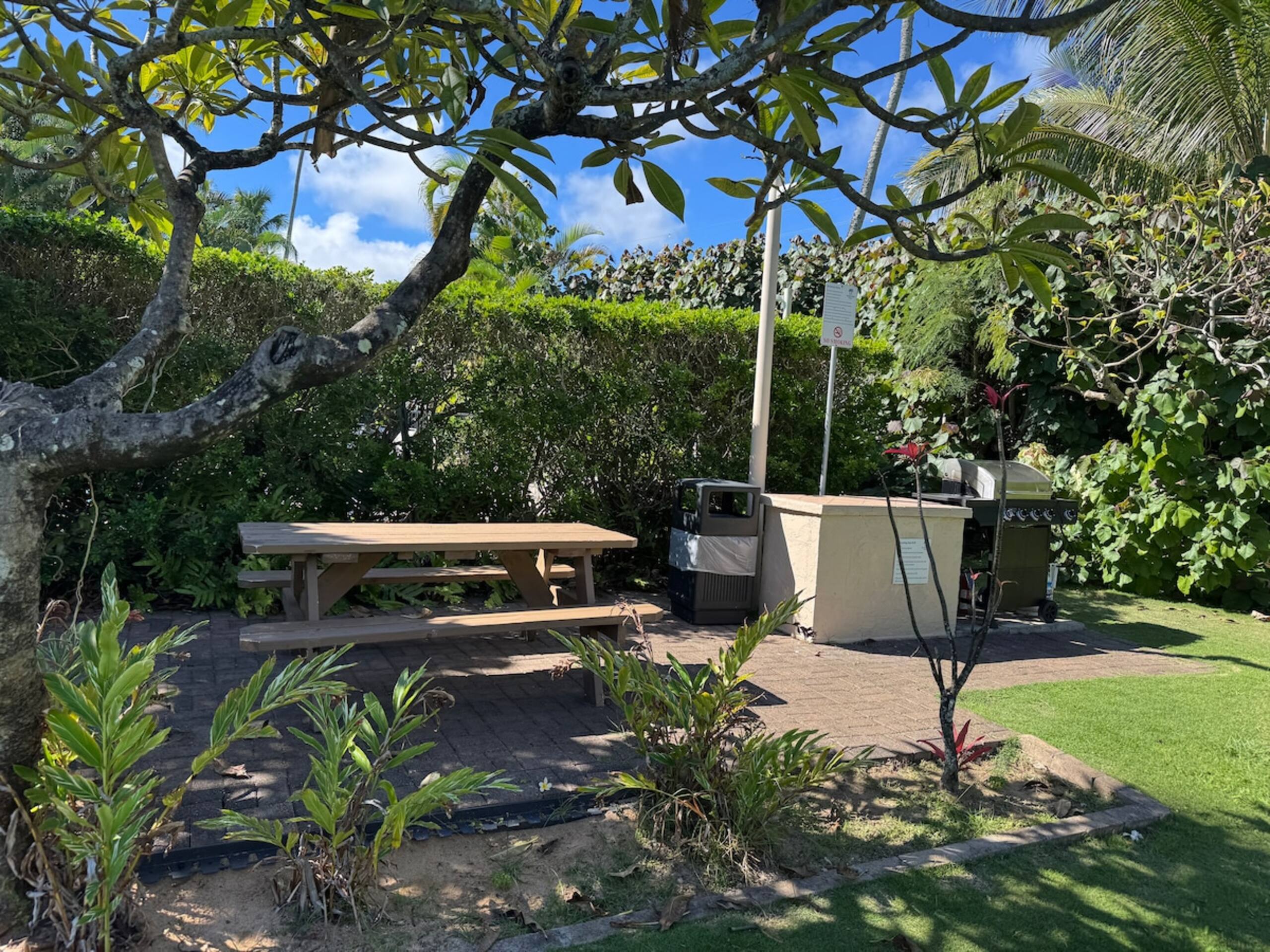Oceanview on Coconut Coast - Photo 17
