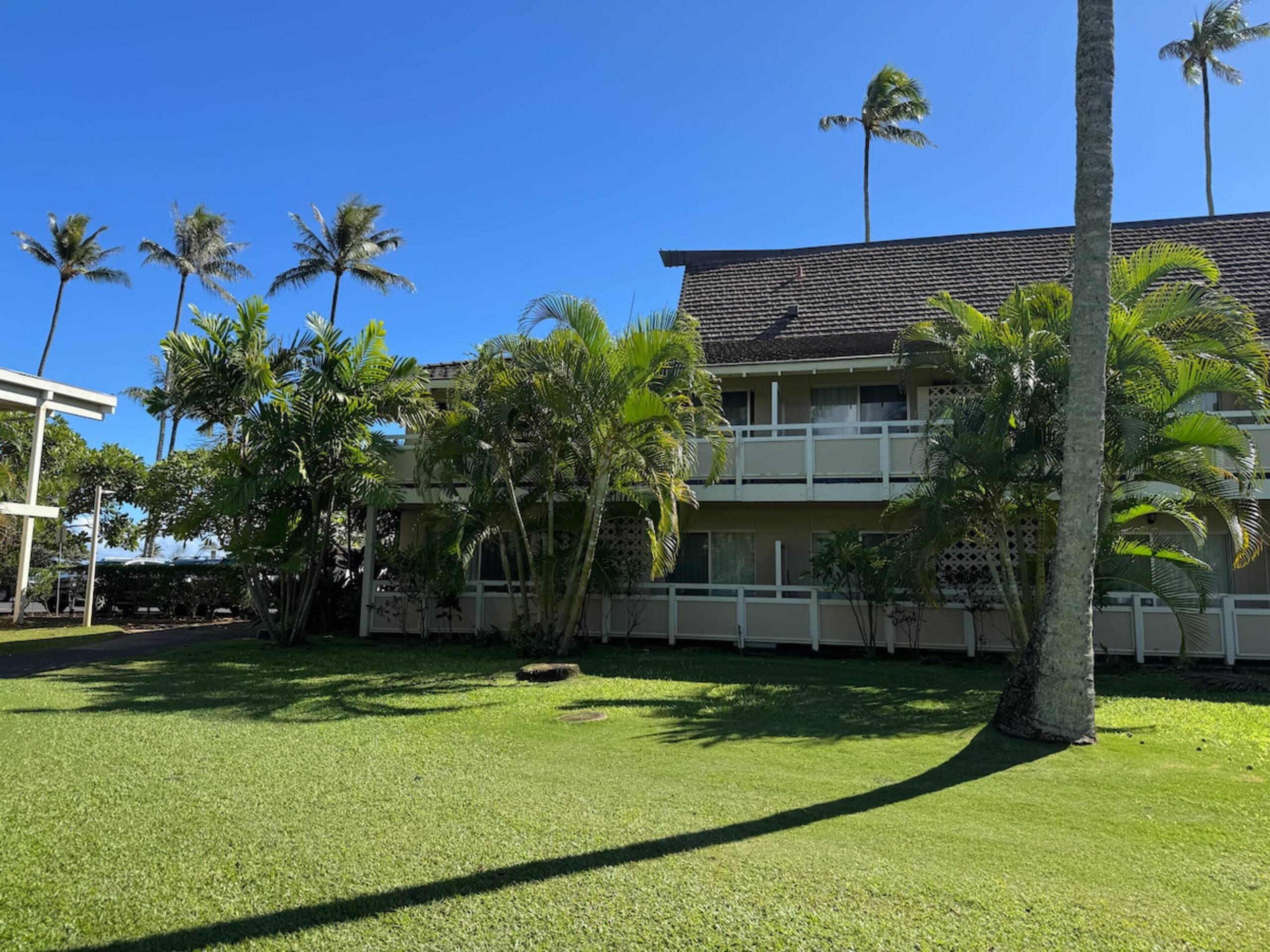 Oceanview on Coconut Coast - Photo 16