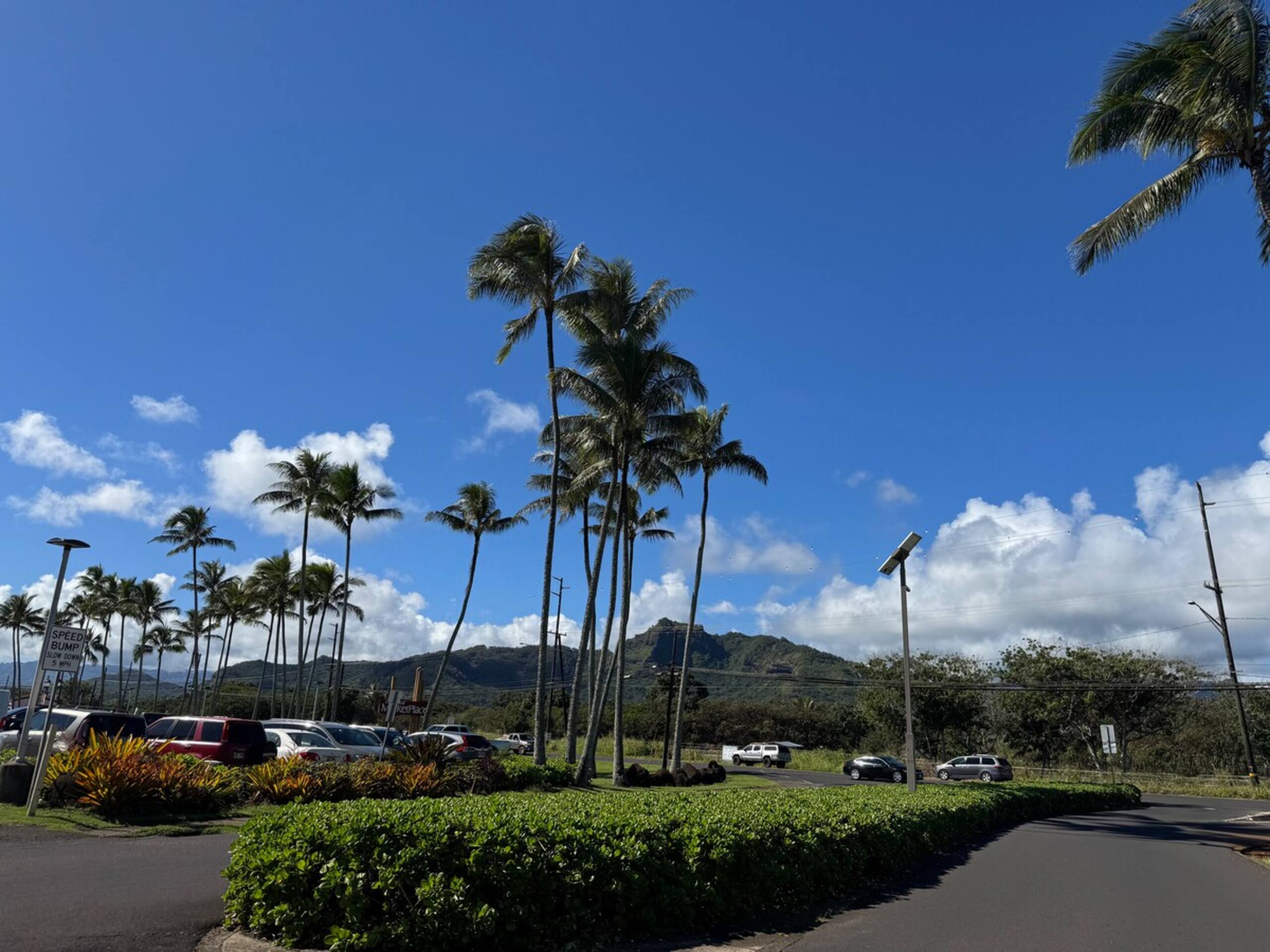 Oceanview on Coconut Coast - Photo 12