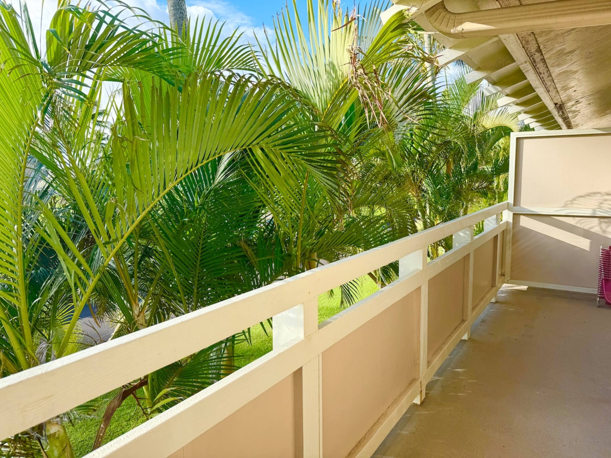 Oceanview on Coconut Coast - Photo 28