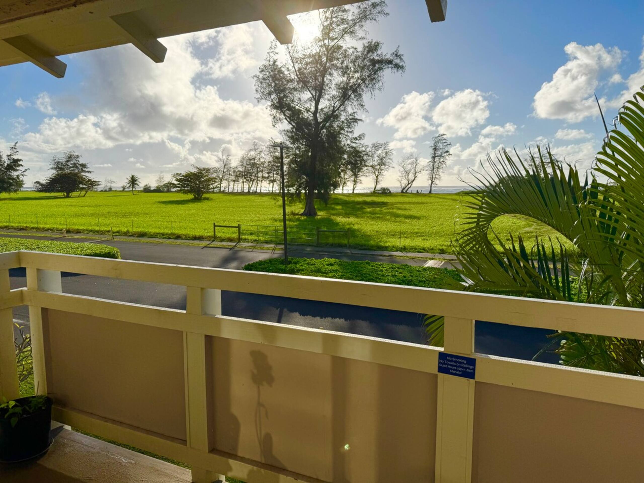 Oceanview on Coconut Coast - Photo 25
