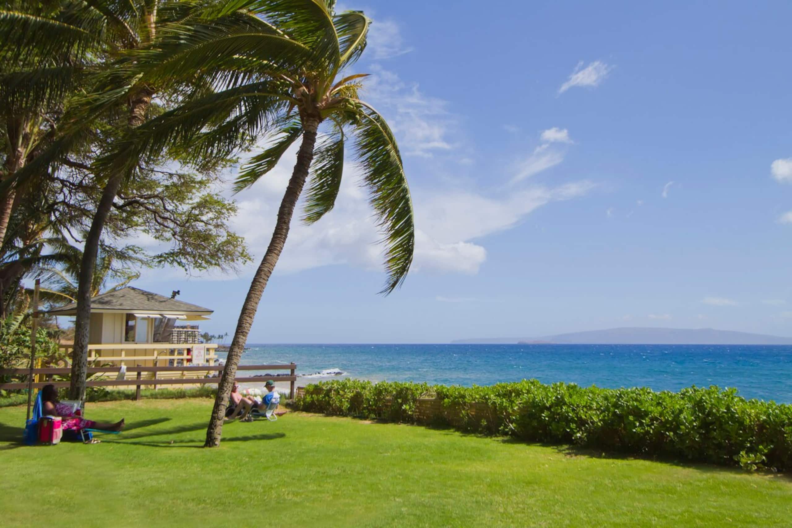 Kamaole Sands Ocean View Condo w/ Pool & Hot Tub - Photo 52