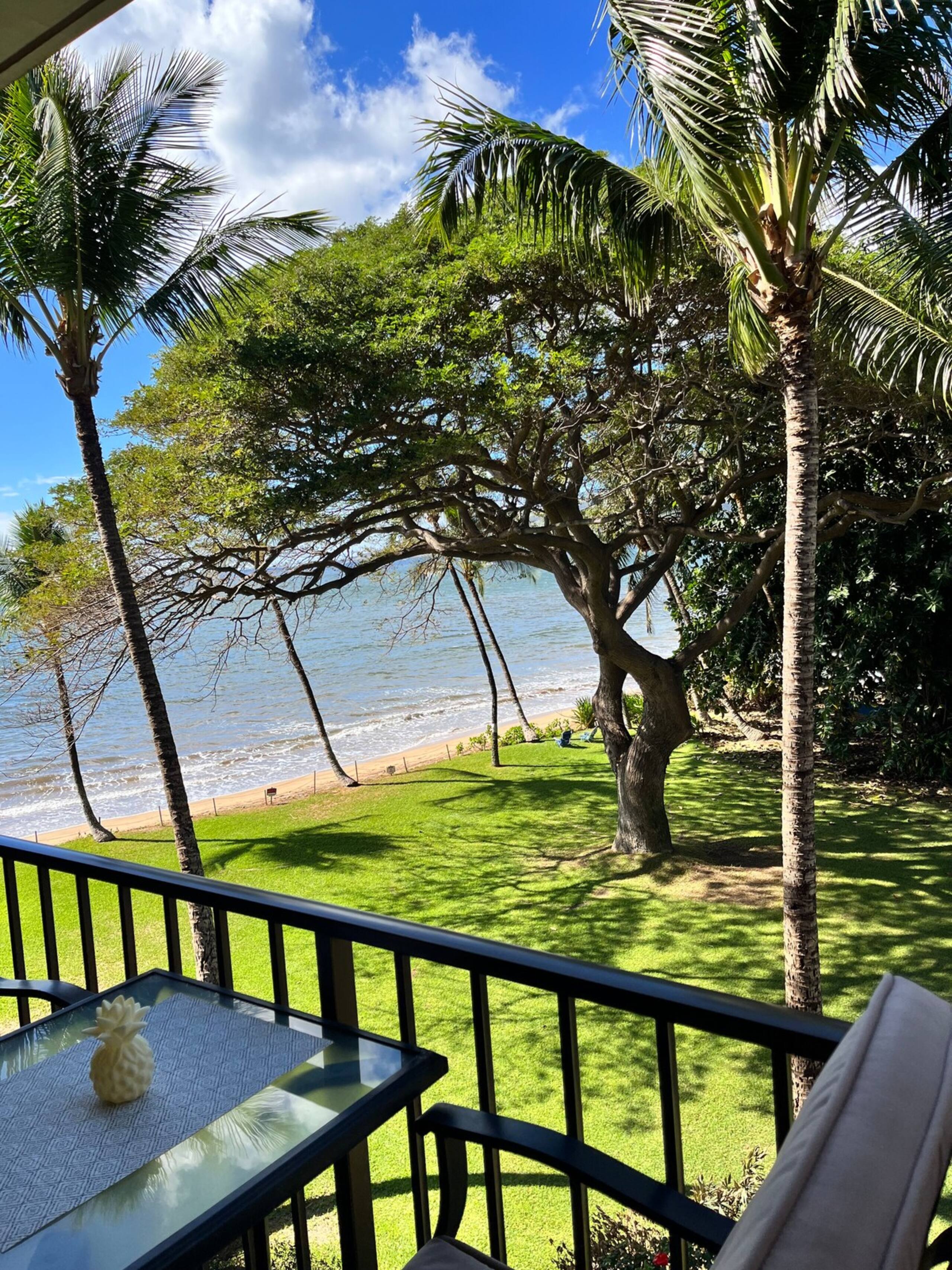 Beachfront Bliss on Sugar Beach - Photo 15