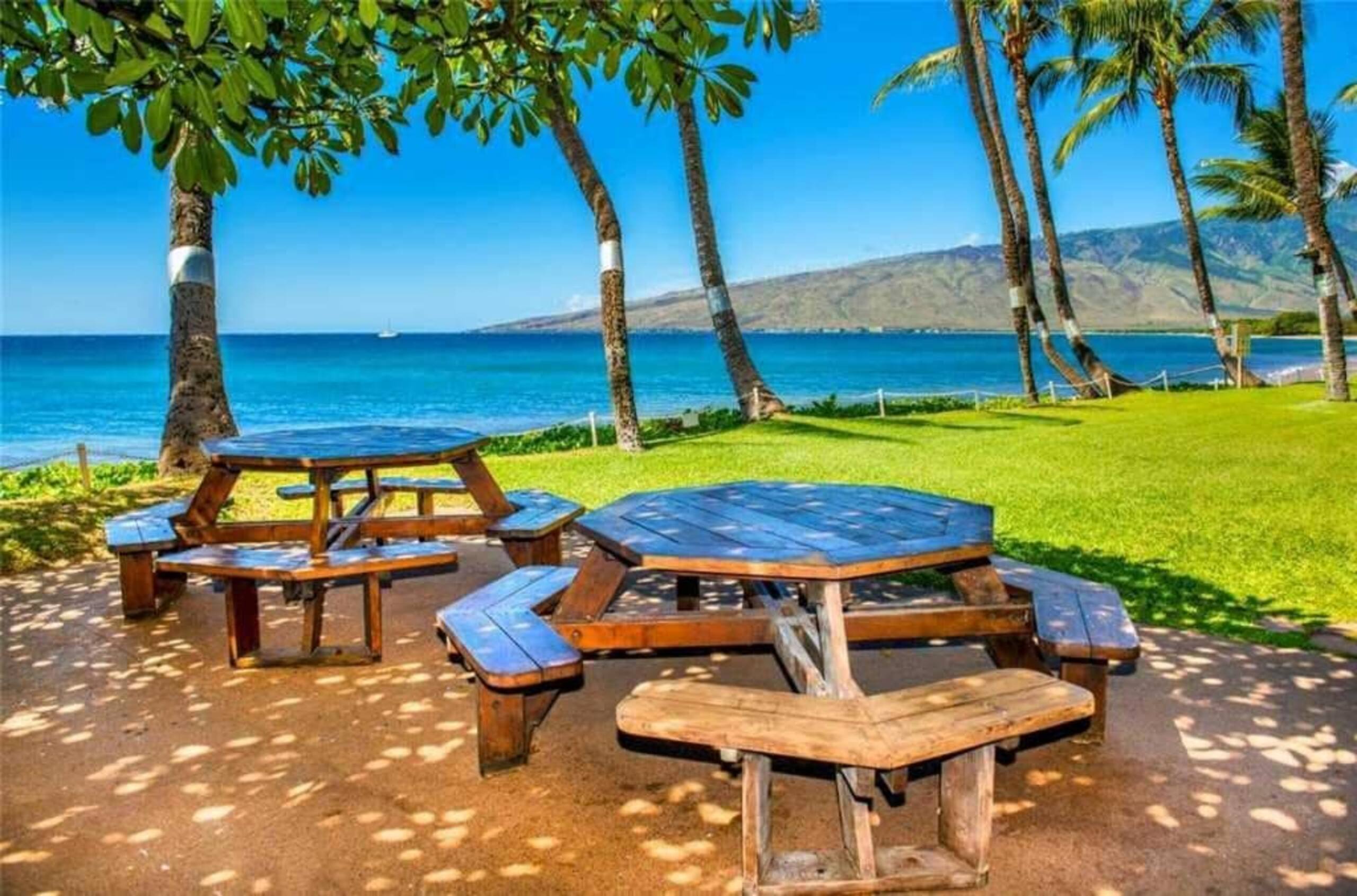 Beachfront Bliss on Sugar Beach - Photo 27