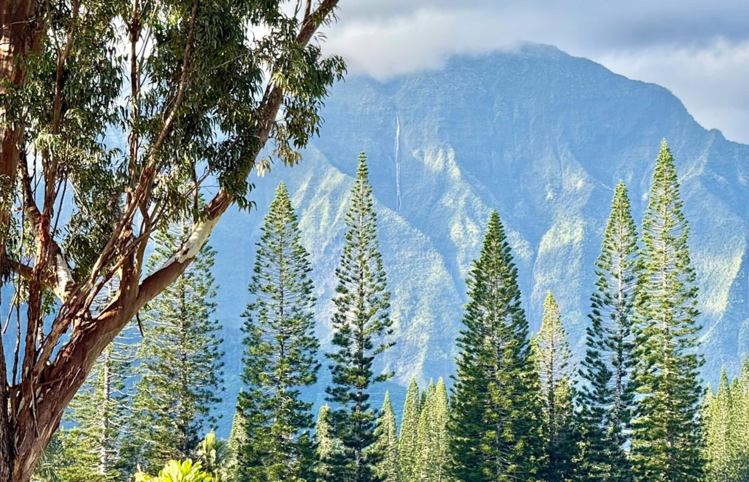3/3 Condo with Full Mountains and Waterfalls Views - Photo 4