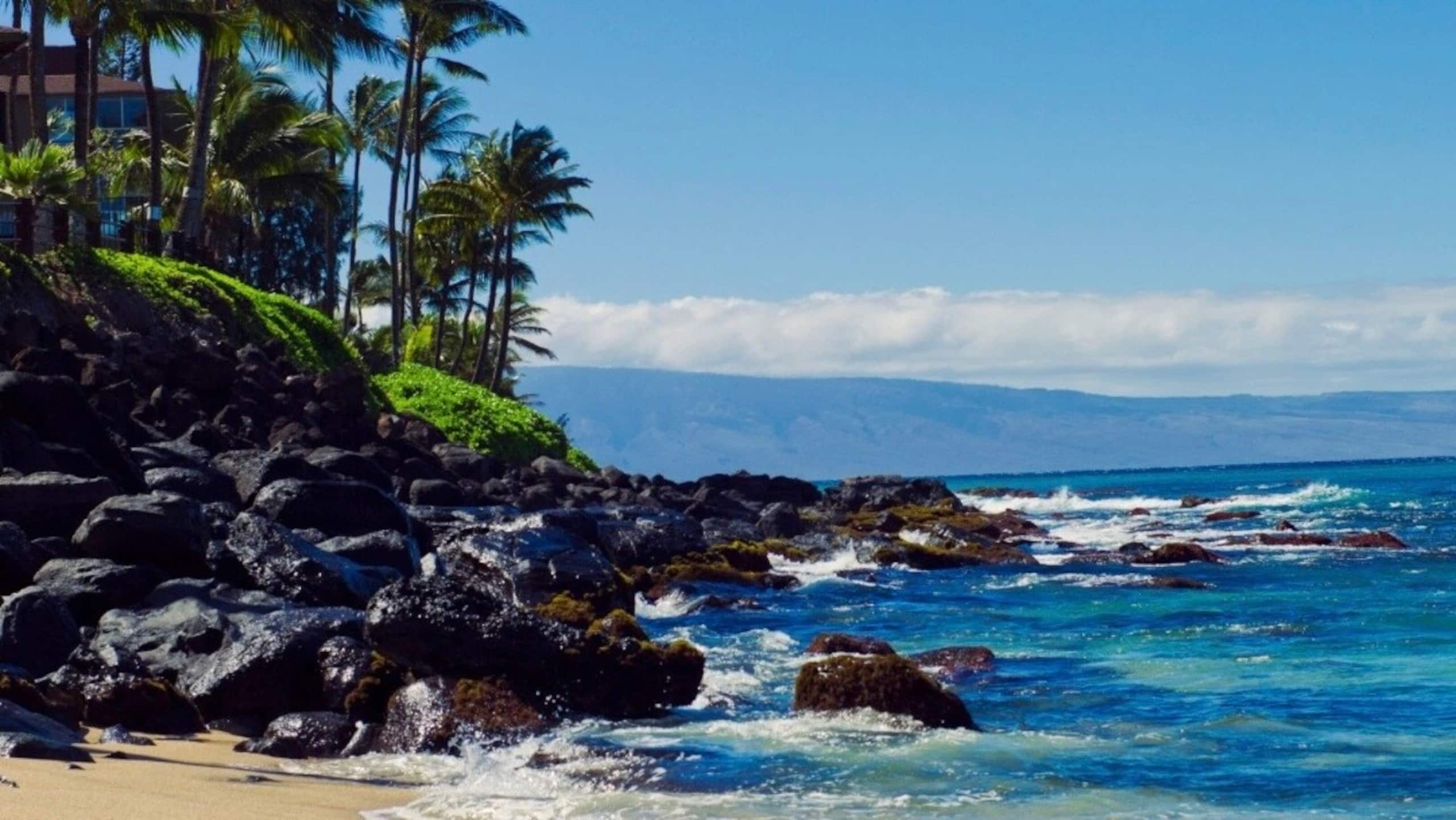 One Bd Partial Ocean, AC, wifi, Pool,Hot tub, B211 - Photo 24