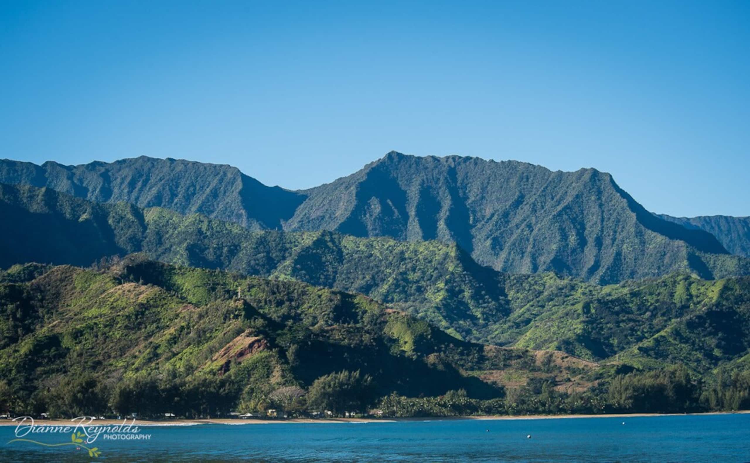 Hanalei Bay Escape, Mountain Views & Beach Access - Photo 60