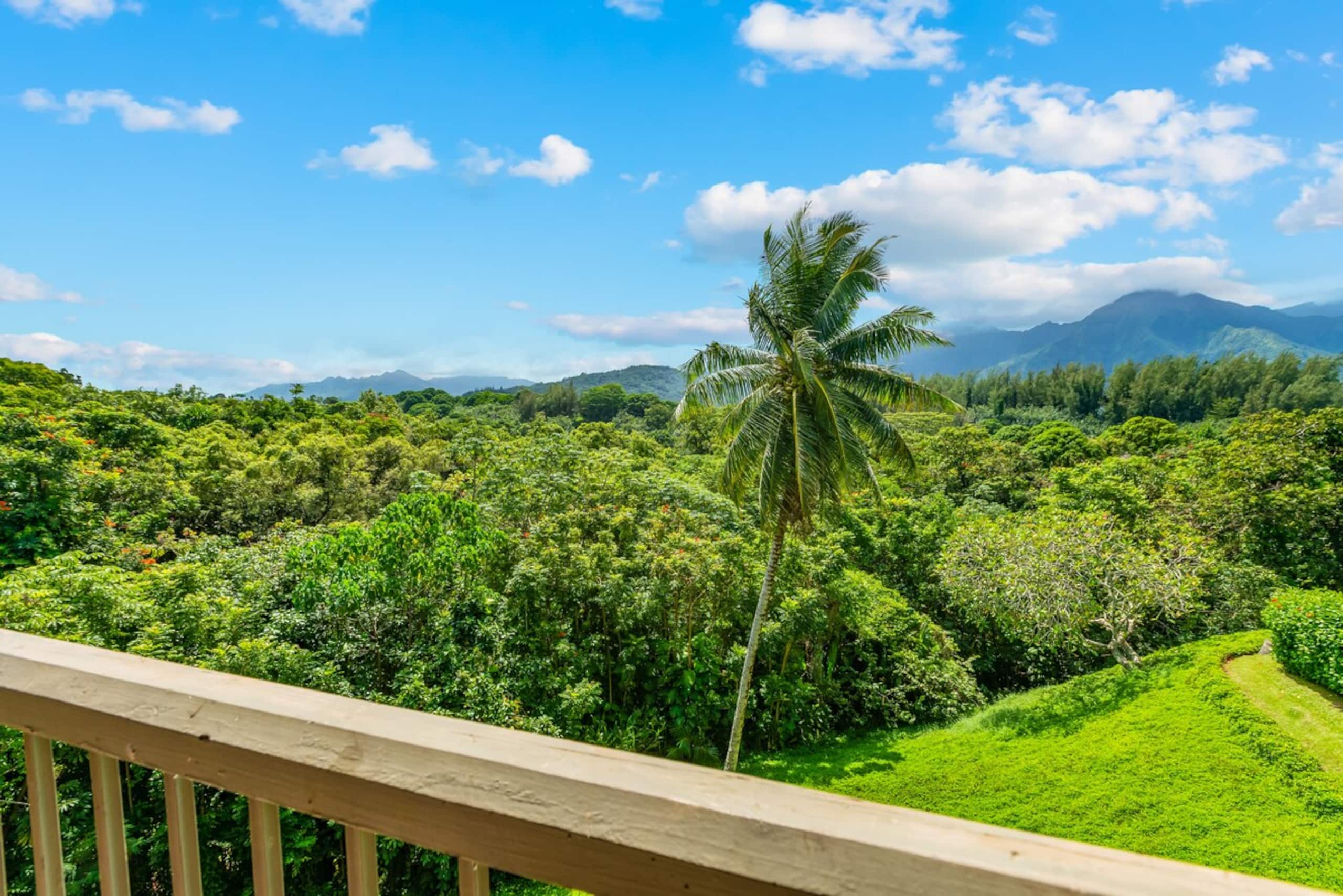 Hanalei Bay Escape, Mountain Views & Beach Access - Photo 13