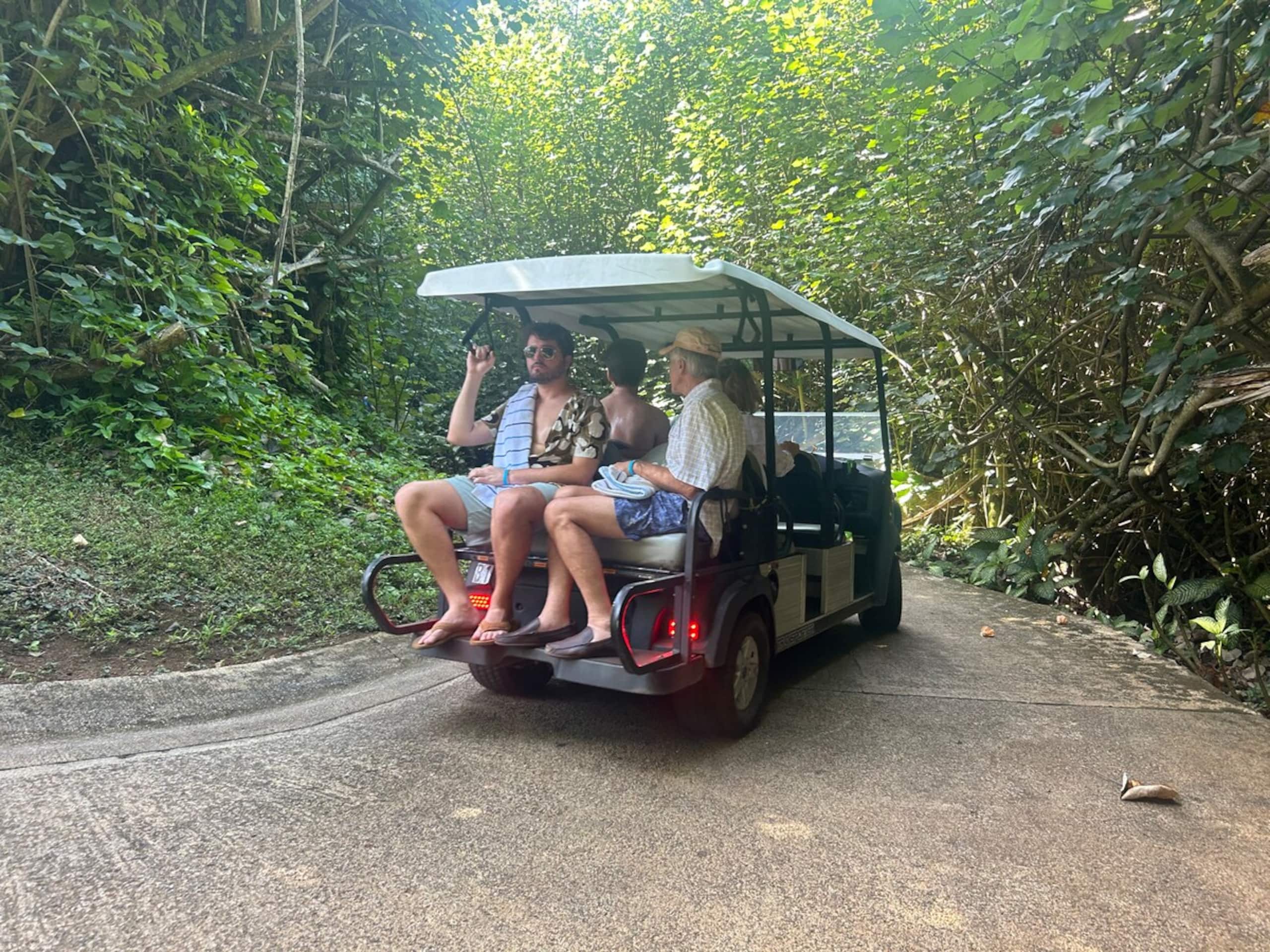Hanalei Bay Escape, Mountain Views & Beach Access - Photo 44