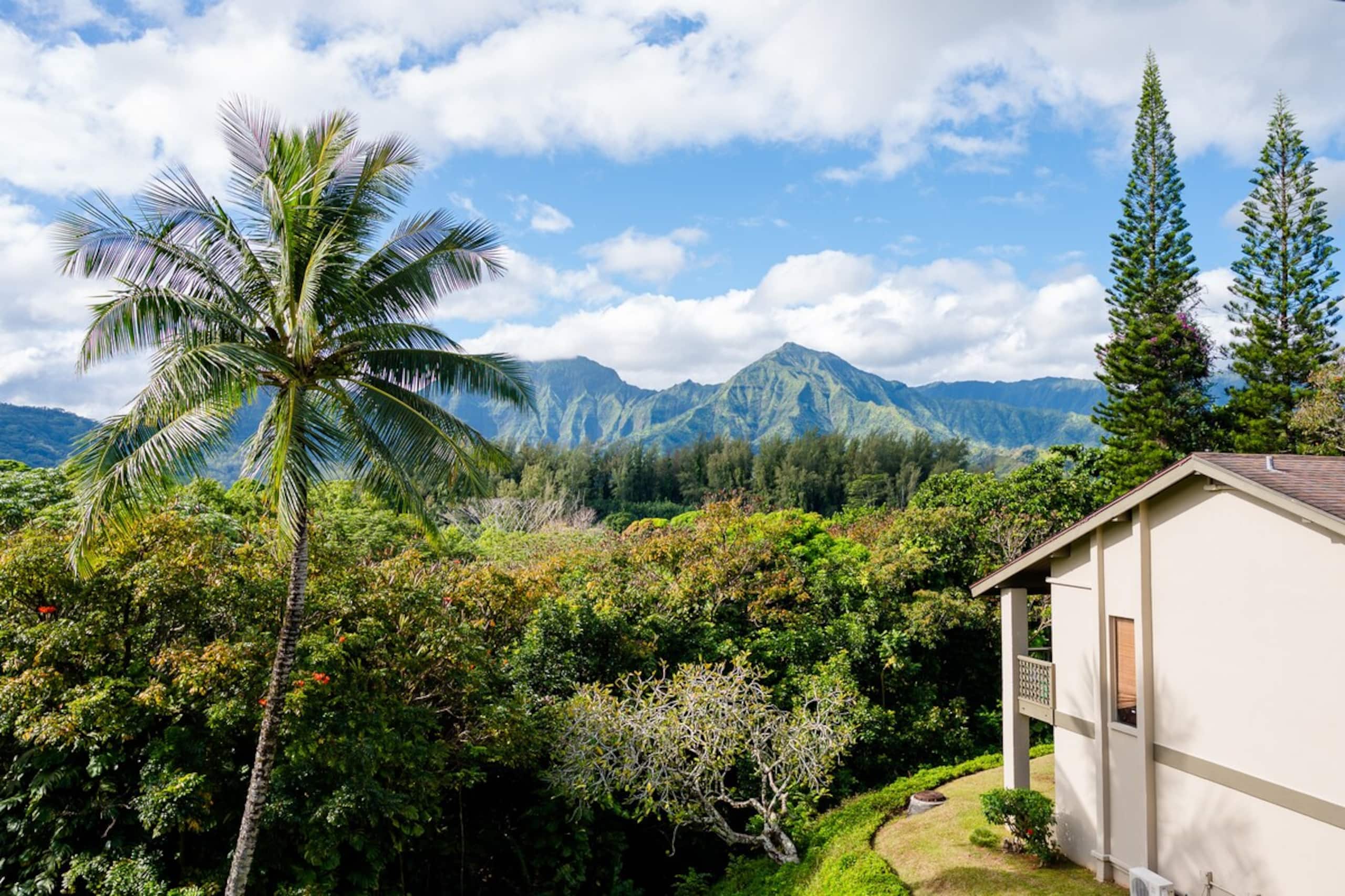 Hanalei Bay Escape, Mountain Views & Beach Access - Photo 29