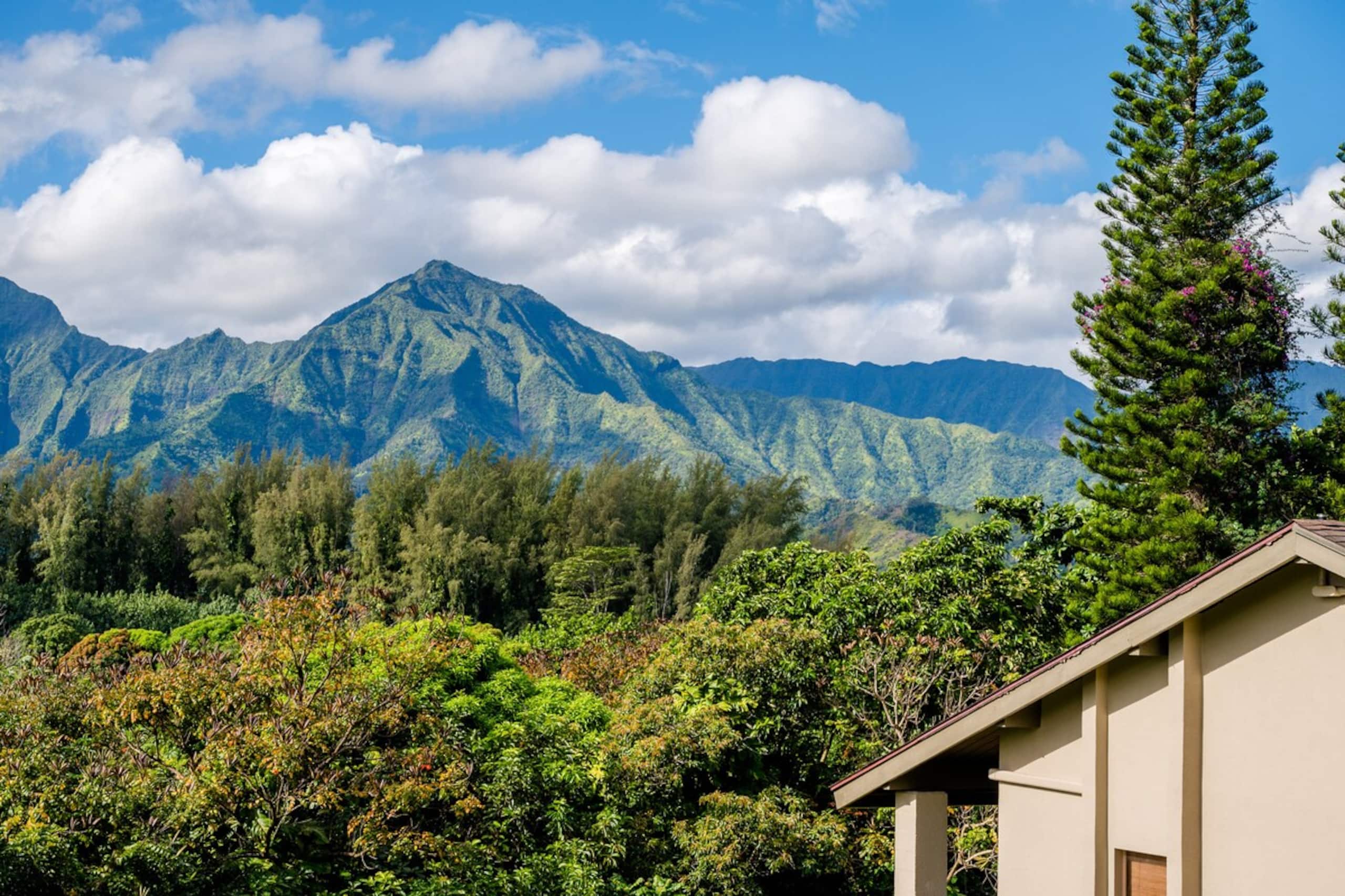 Hanalei Bay Escape, Mountain Views & Beach Access - Photo 32
