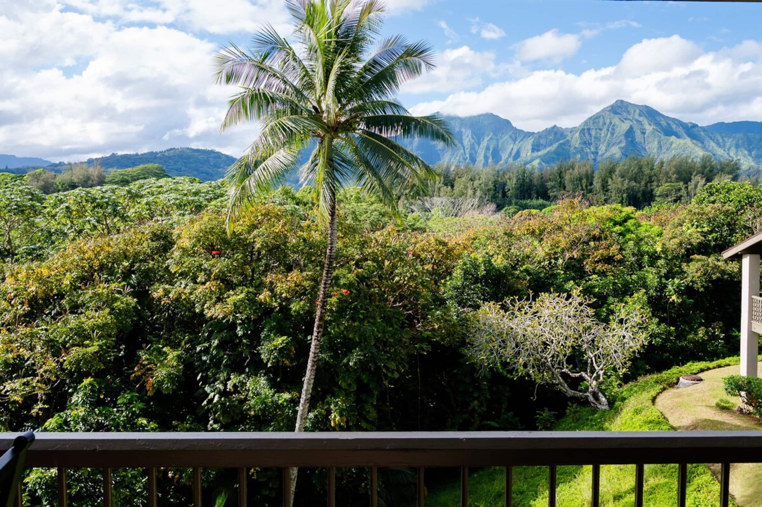 Hanalei Bay Escape, Mountain Views & Beach Access - Photo 30