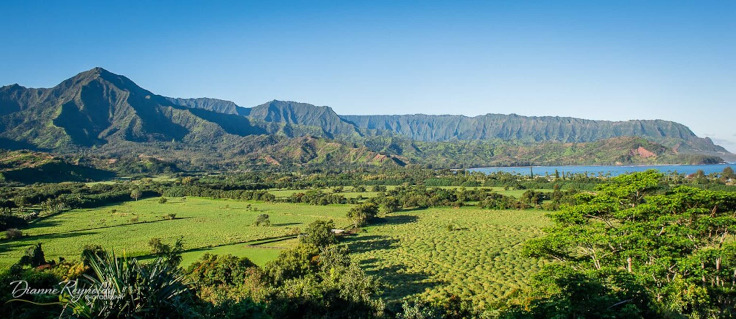 Hanalei Bay Escape, Mountain Views & Beach Access - Photo 65
