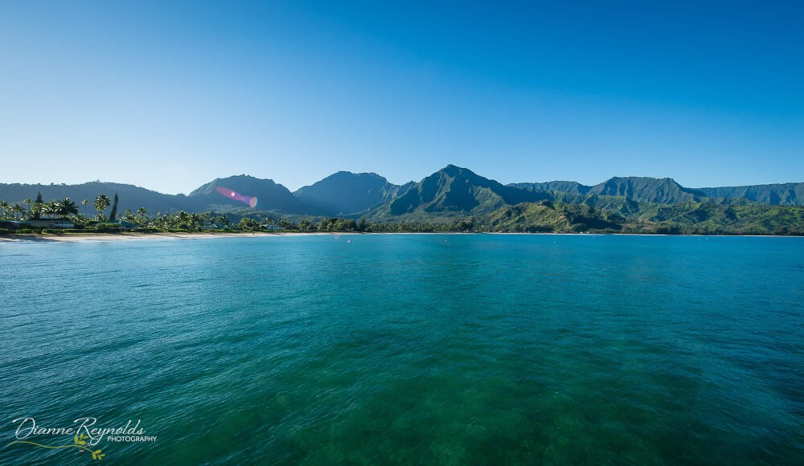 Hanalei Bay Escape, Mountain Views & Beach Access - Photo 63