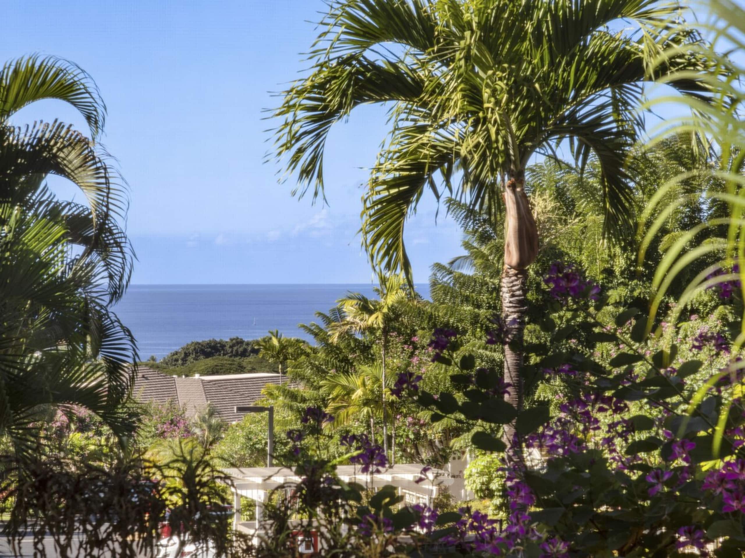 Platinum Rated & Golf Course Views - Photo 4