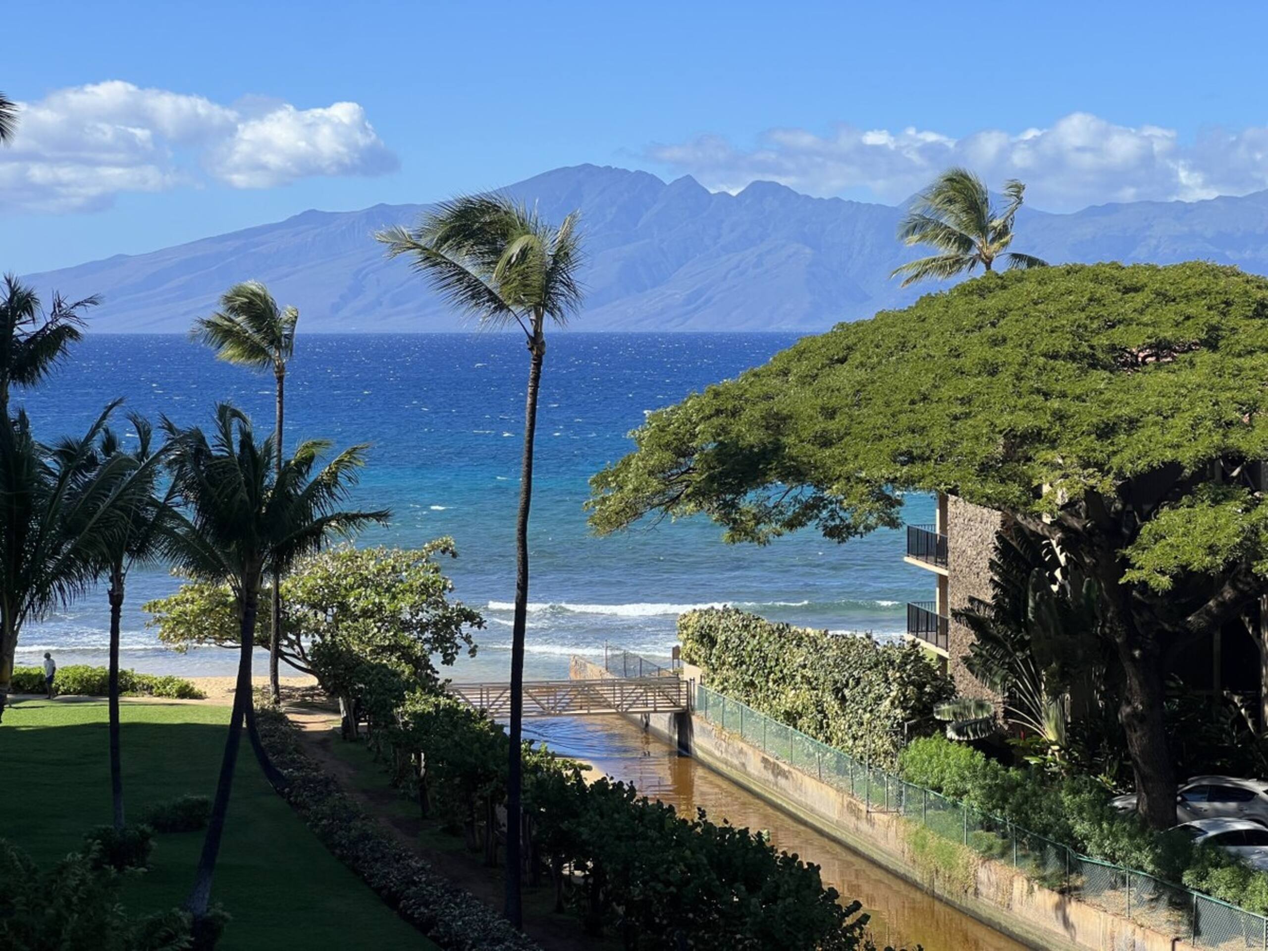 Spacious 2 Bed with Views Kaanapali Shores - Photo 18