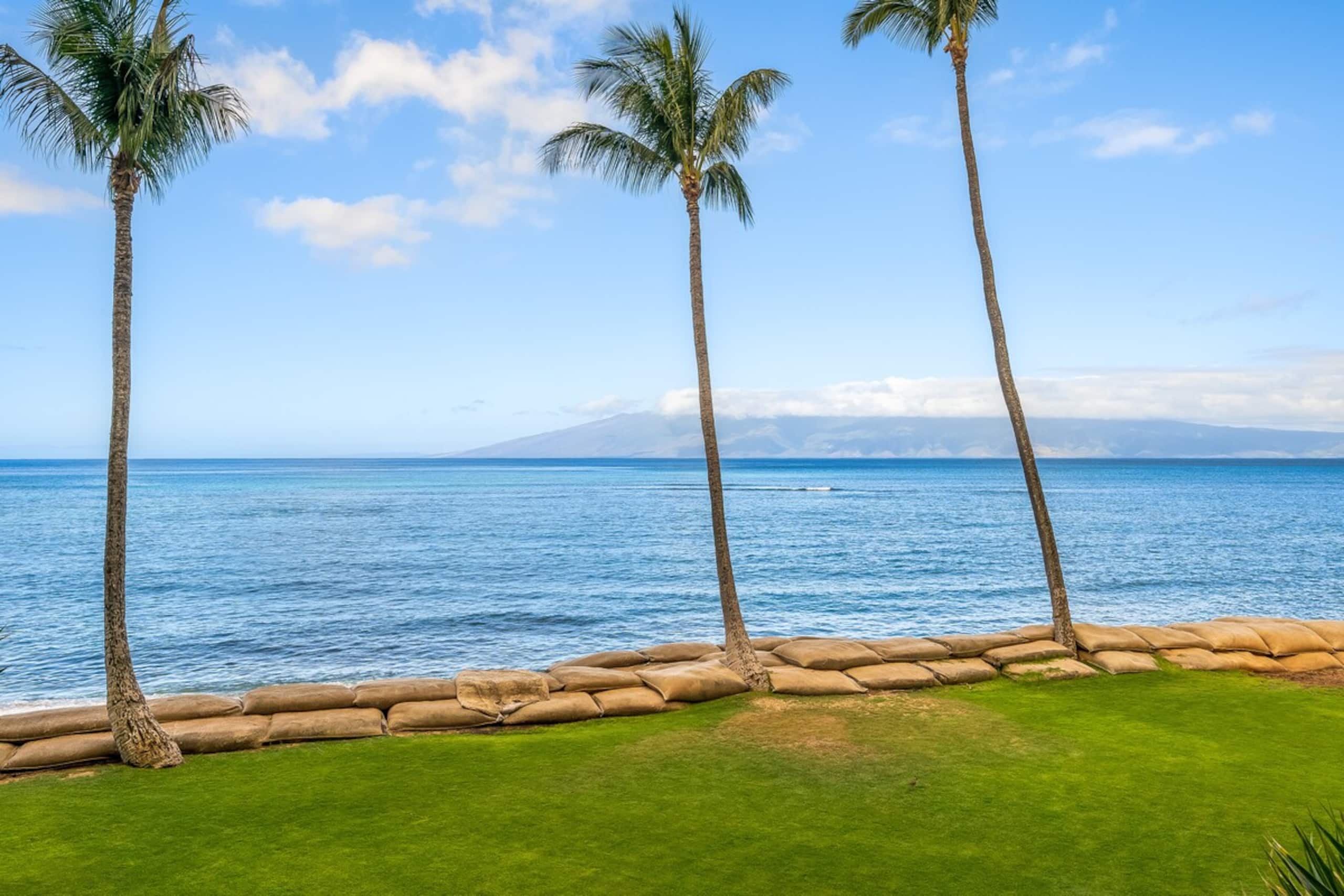 OceanFront Studio w Pool-Valley Isle 206 - Photo 10