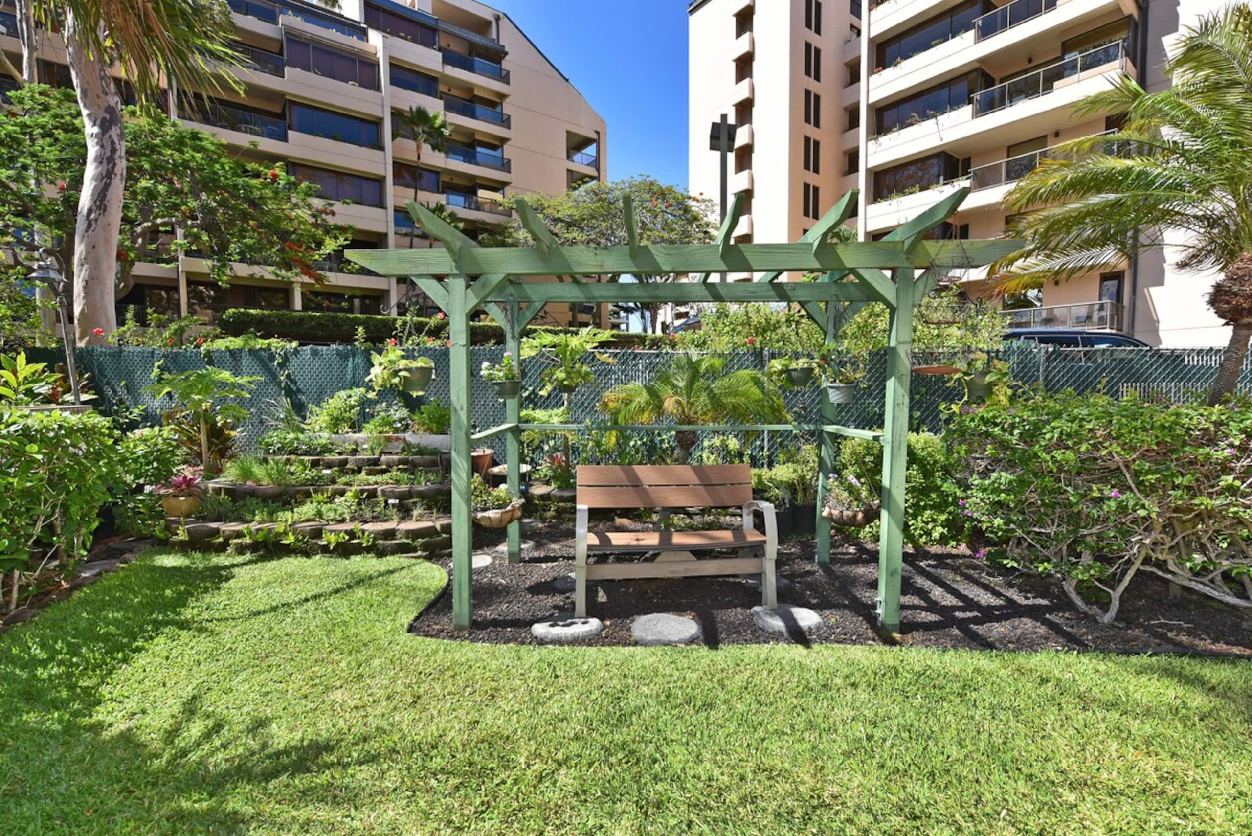 OceanFront Studio w Pool-Valley Isle 206 - Photo 36
