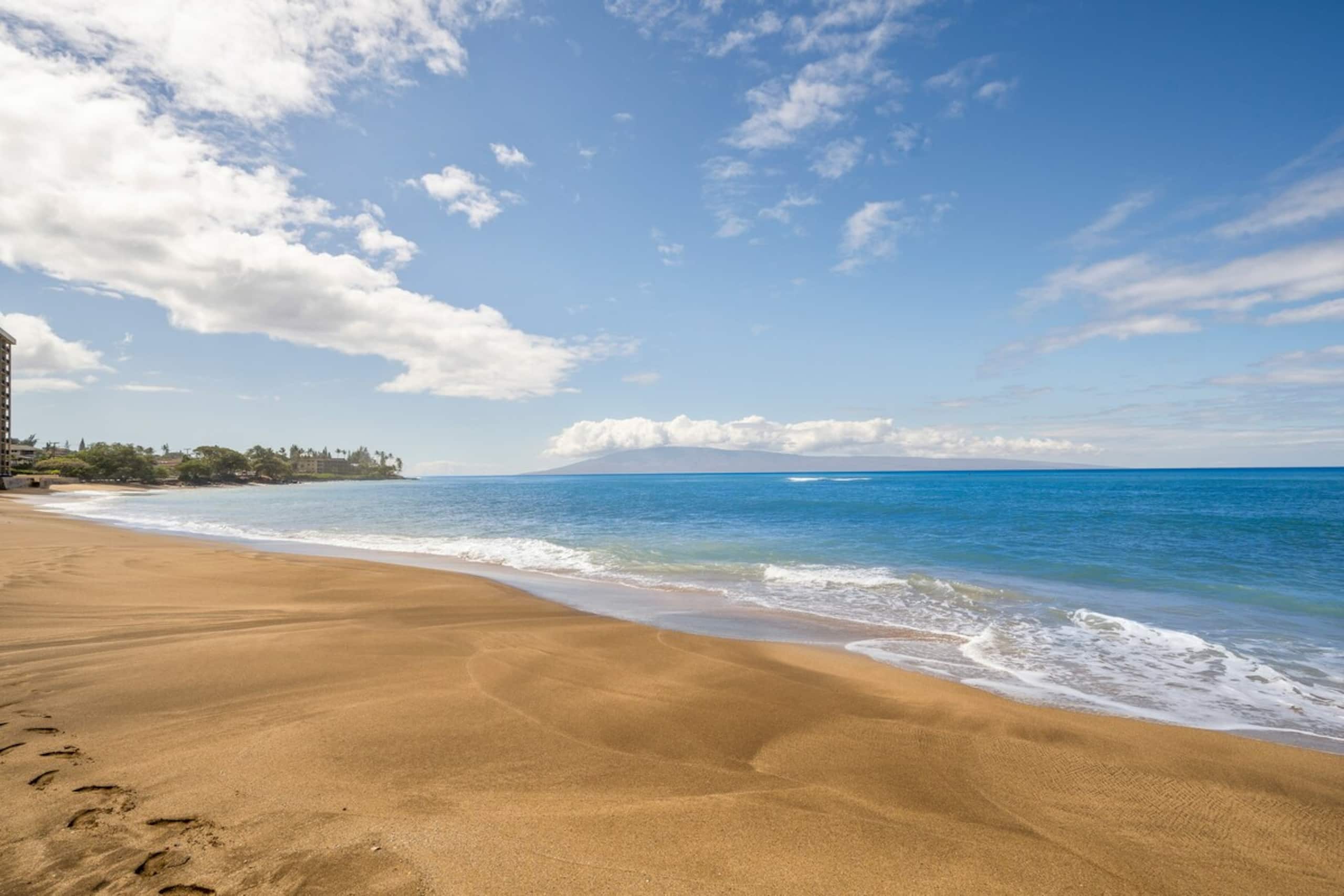 OceanFront Studio w Pool-Valley Isle 206 - Photo 38
