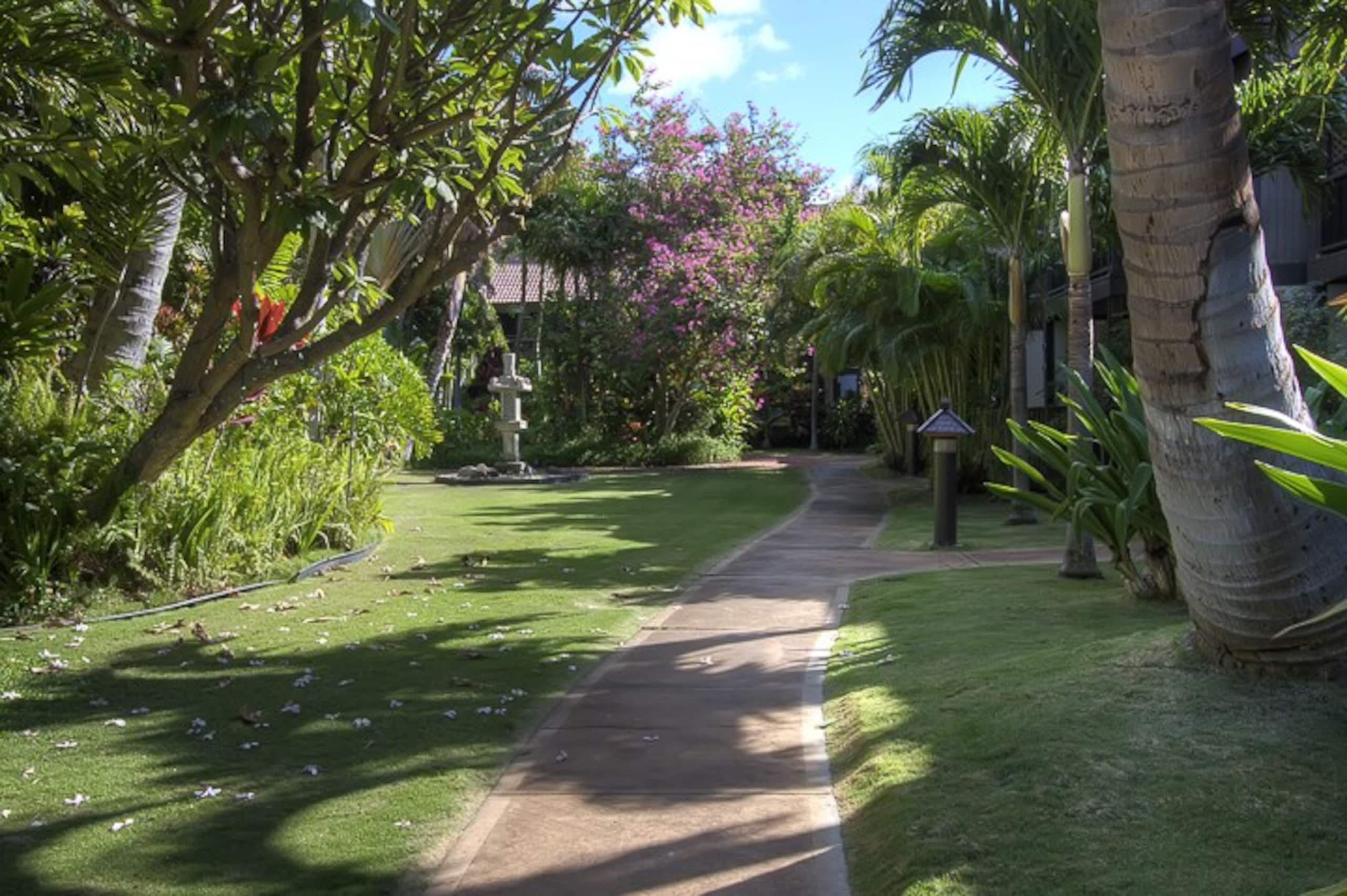 Low rates- A/C-free parking-no resort fees KR131 - Photo 39