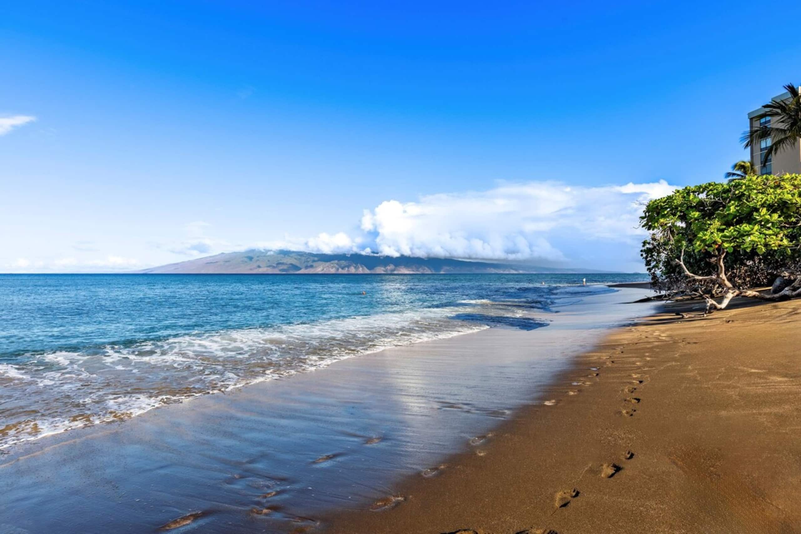 Outstanding ocean Views SK373-Sullivan - Photo 80