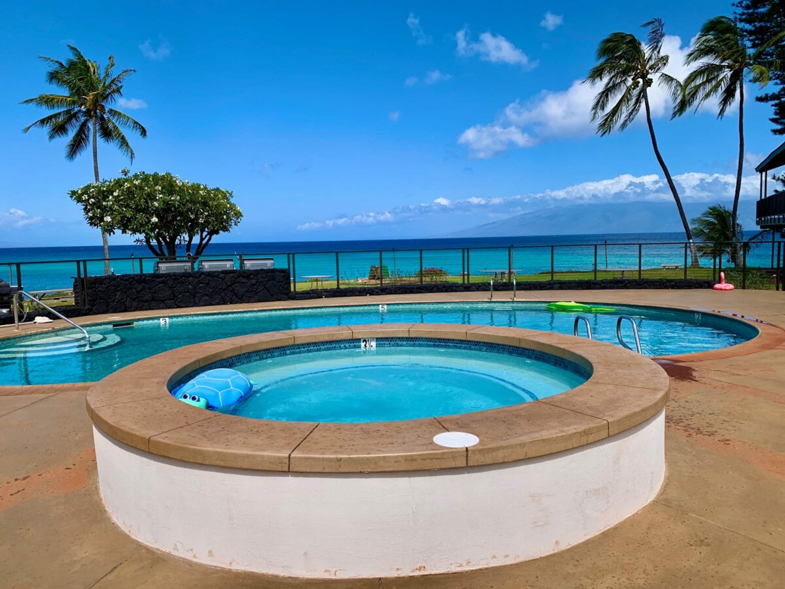 Direct Oceanfront Condo, Kahana/Kaanapali - Photo 2