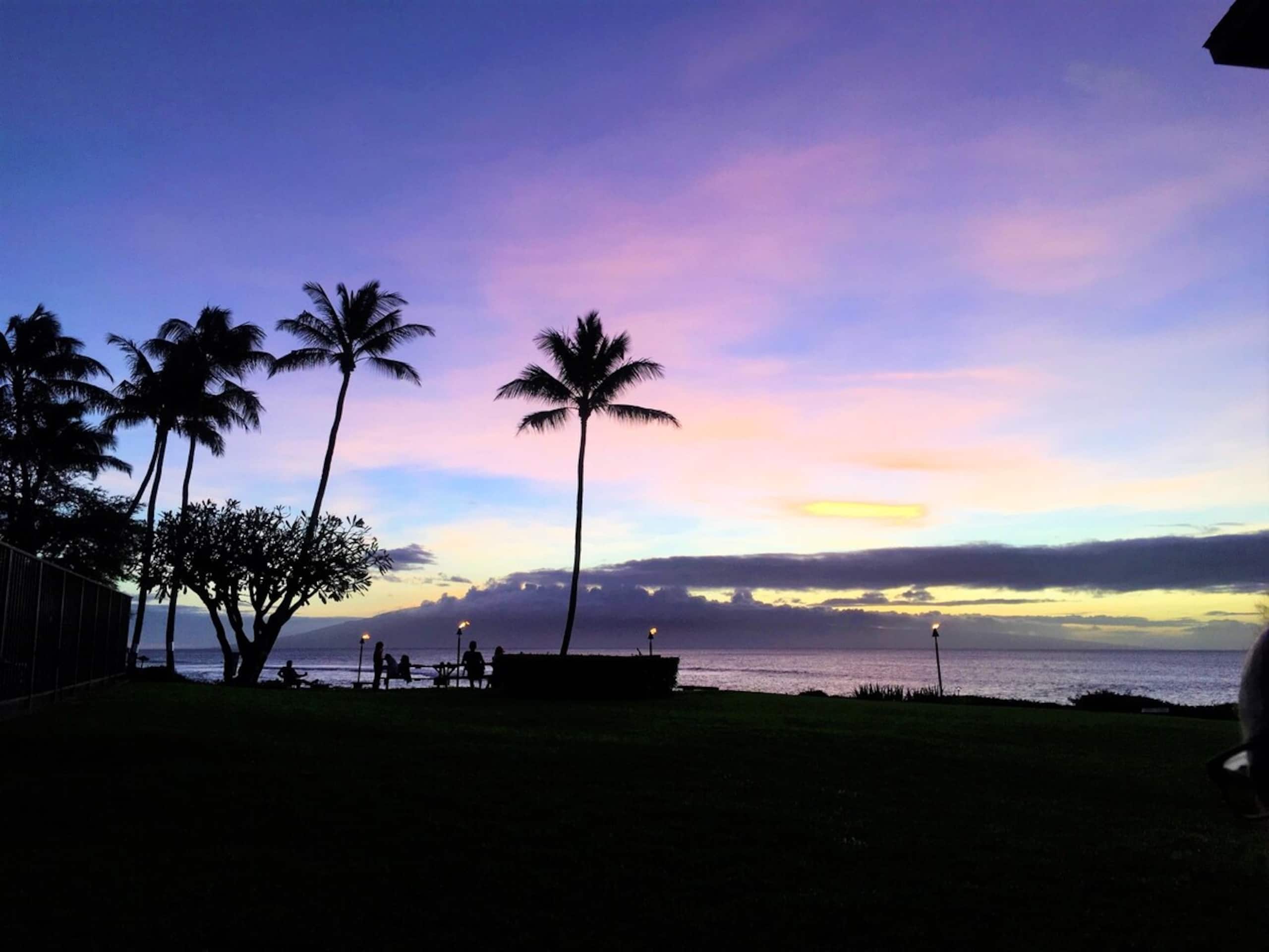 Direct Oceanfront Condo, Kahana/Kaanapali - Photo 5