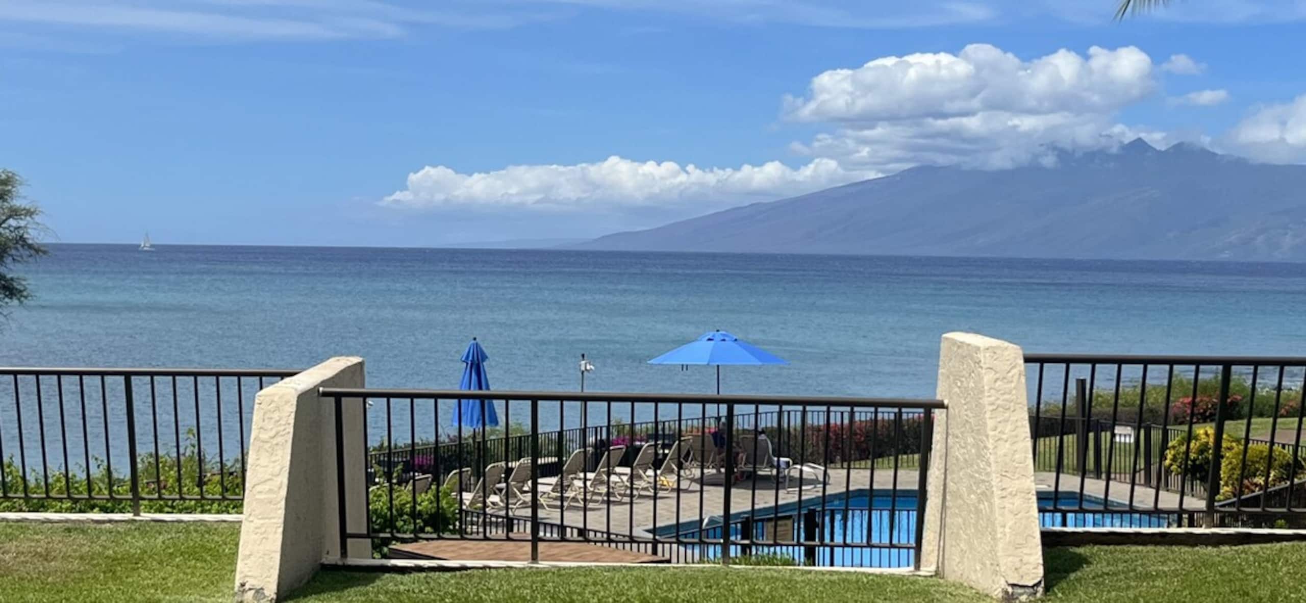 Ocean front condo, where the waves and whales meet - Photo 20