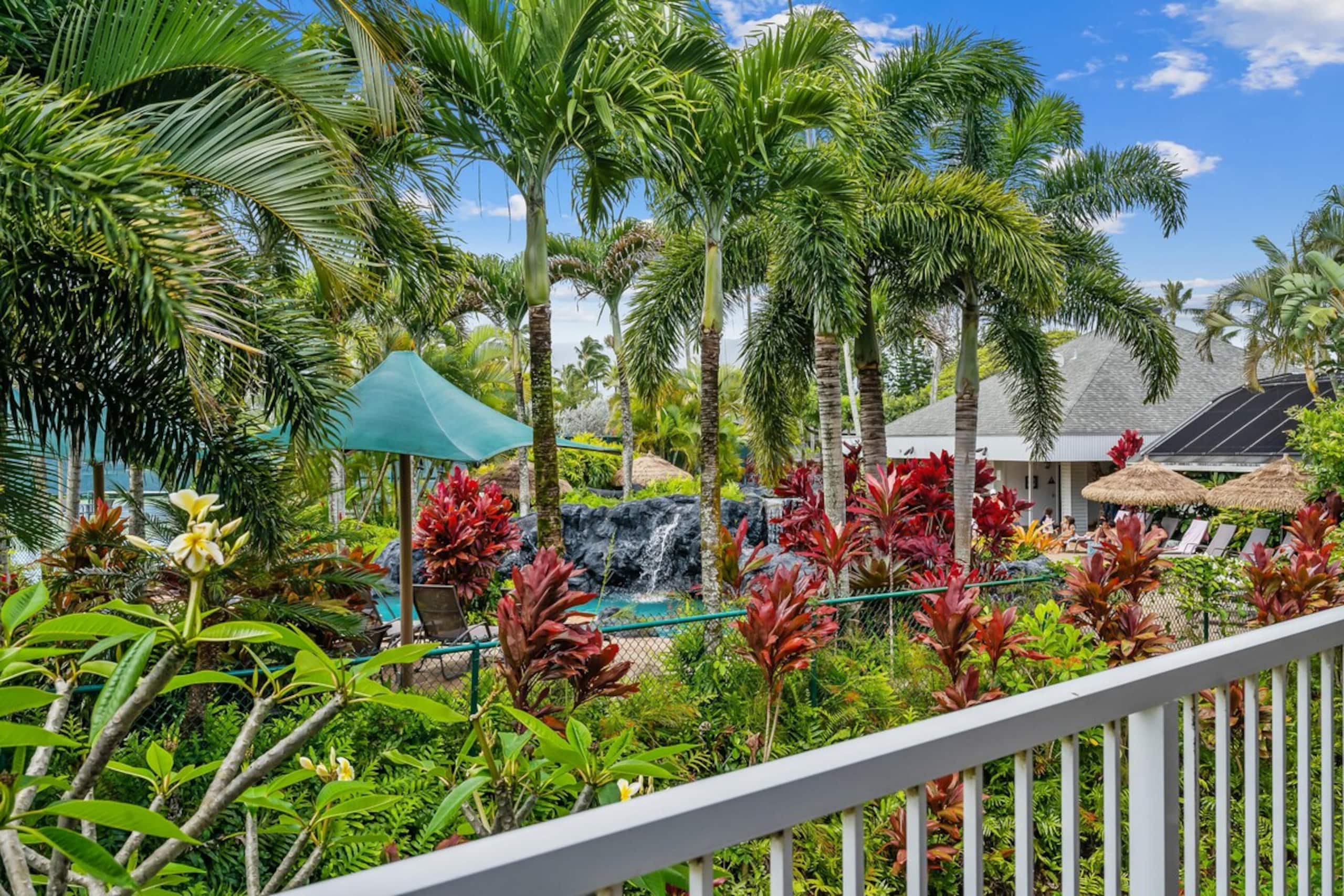 Holiday Special at Tropical Island Oasis at The Cl - Photo 13
