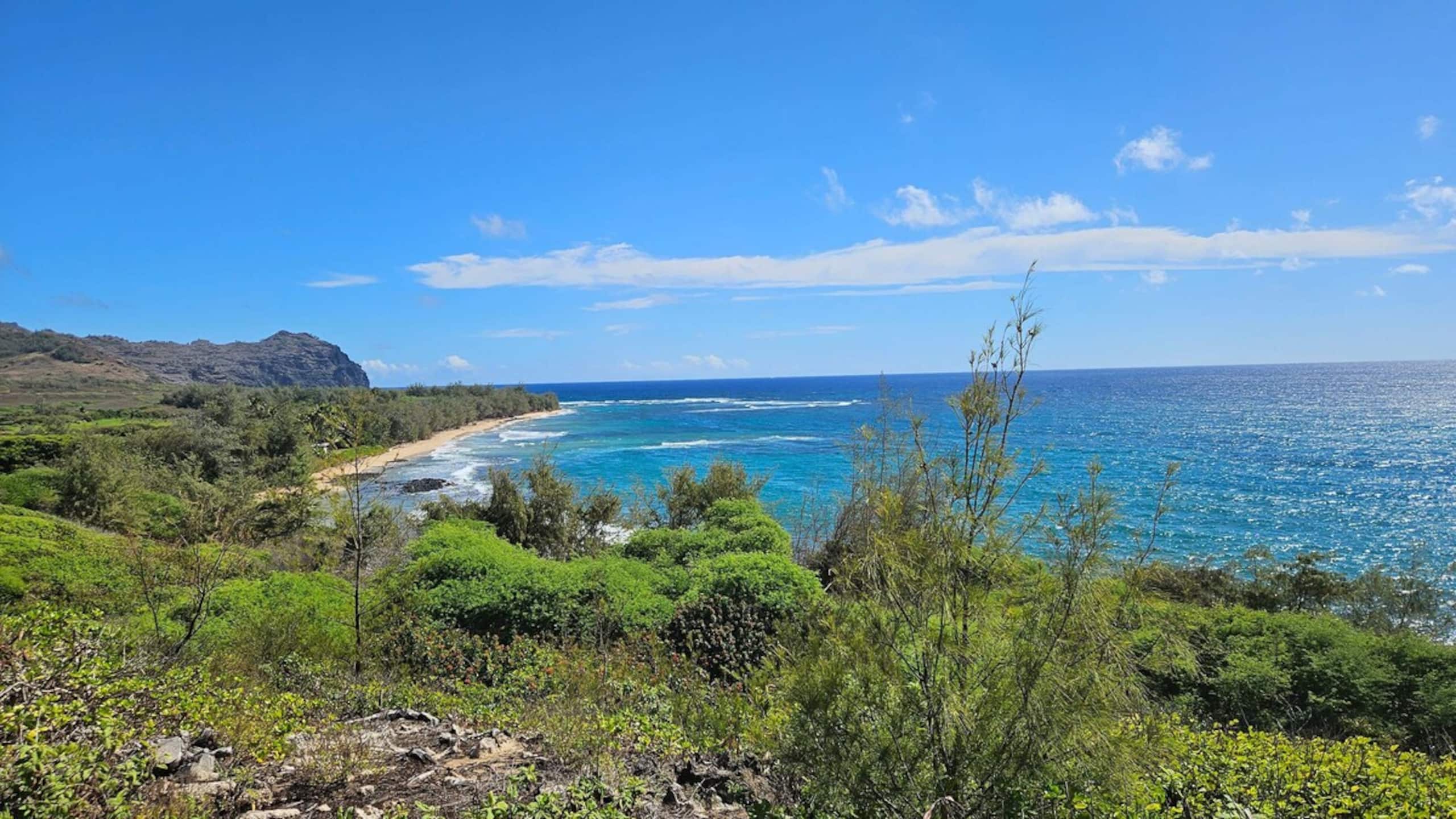 2 Bedroom OceanView Condo Pono Kai Resort E103 - Photo 42