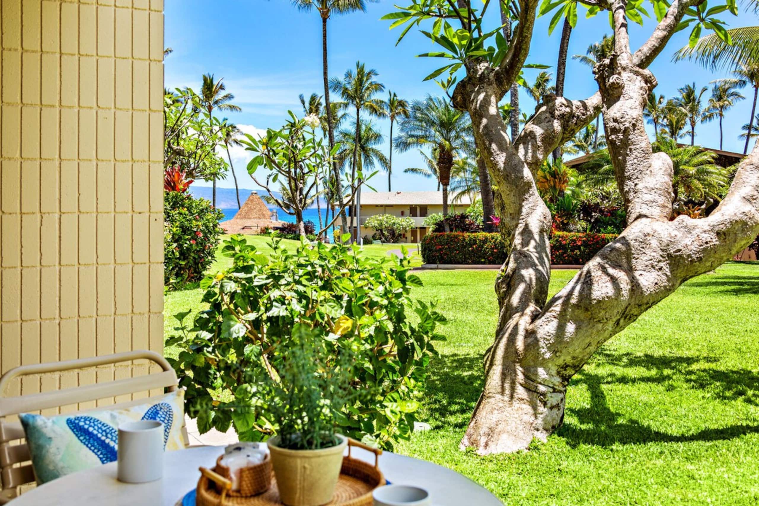 Ground floor unit, minutes away from Napili Bay - Photo 11